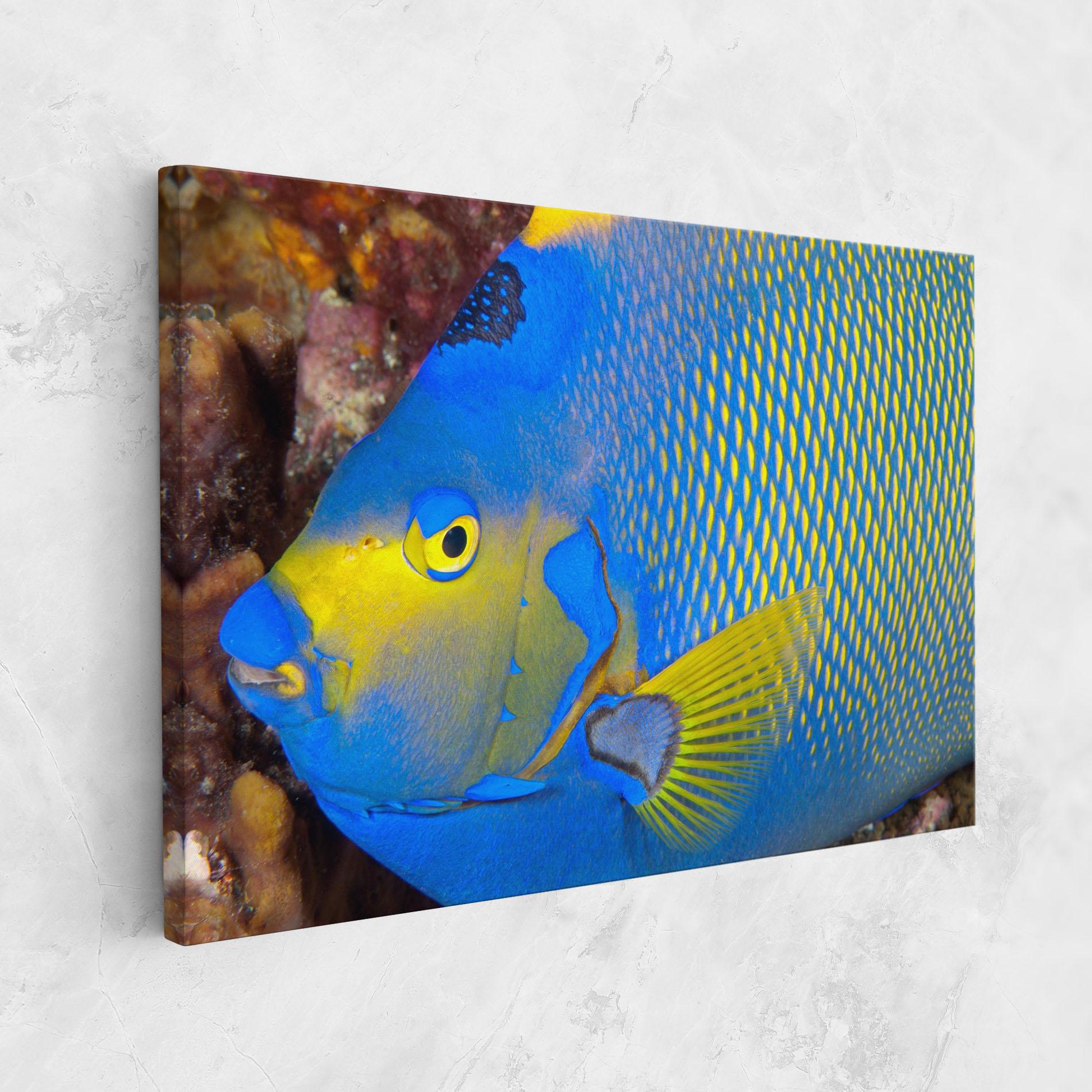 Tablou Canvas Blue Yellow Fish mockup 1