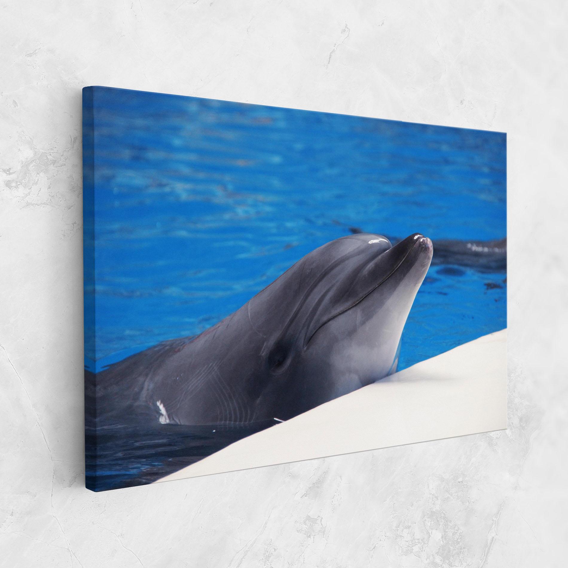 Tablou Canvas Cute Dolphin mockup 1
