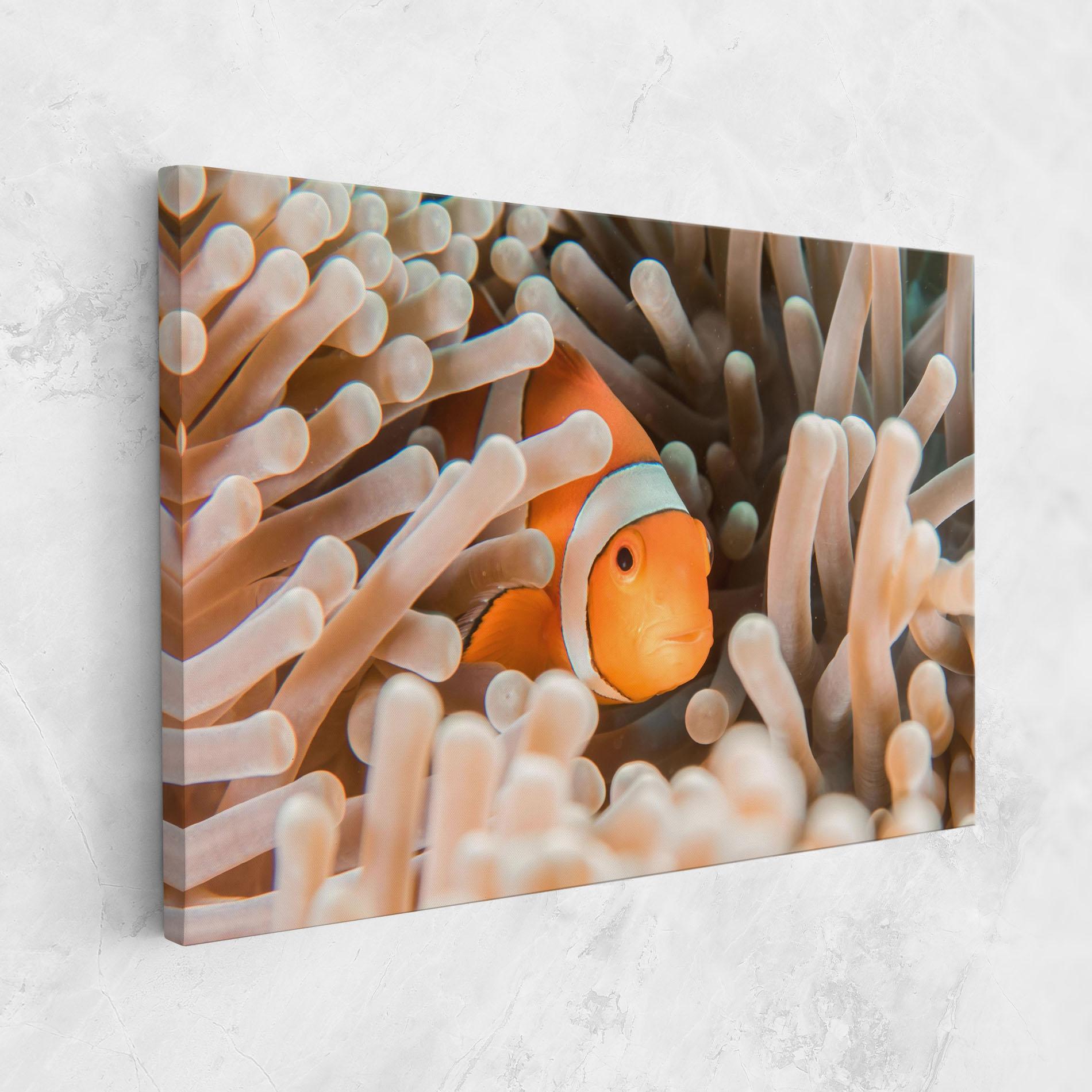 Tablou Canvas Cute Nemo mockup 1