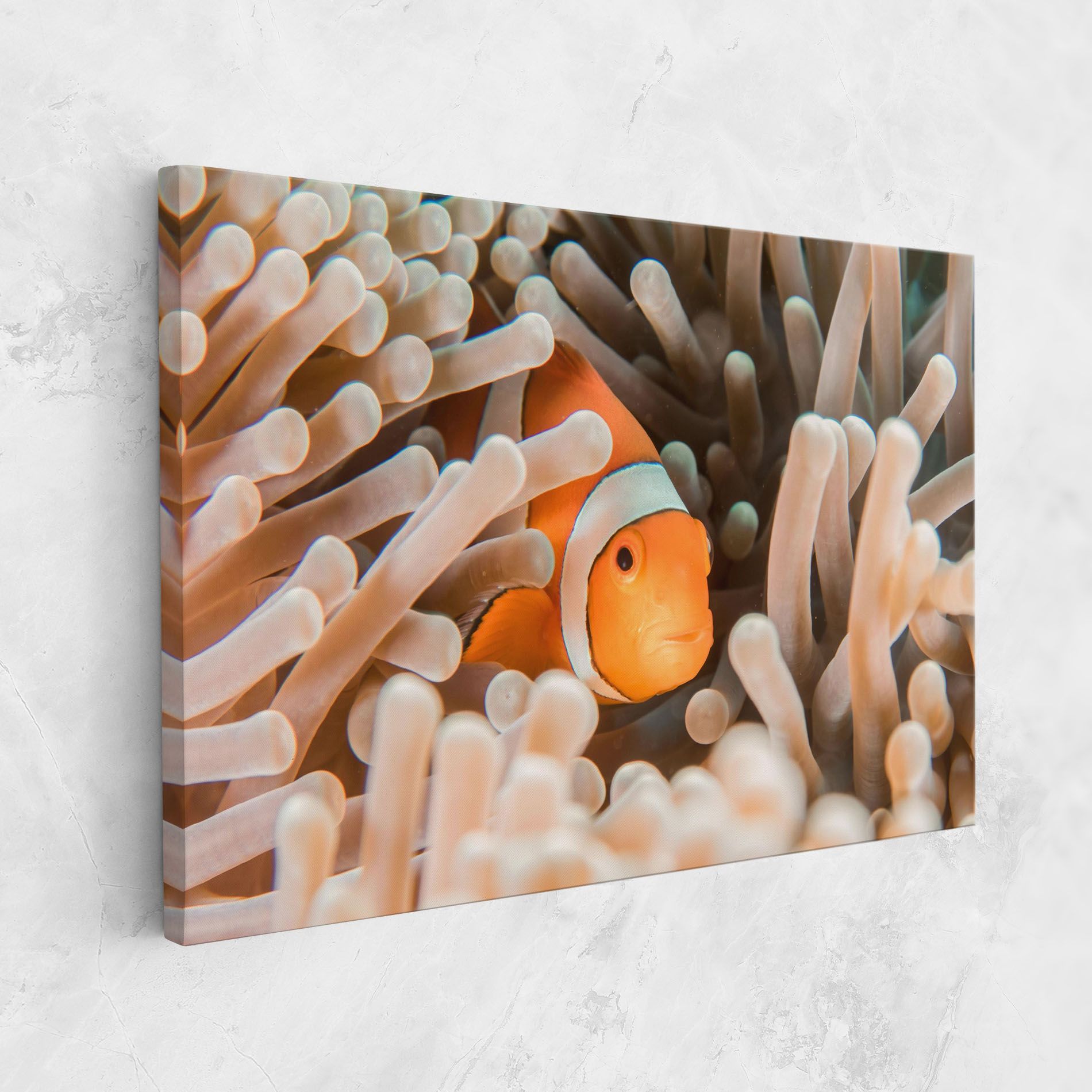 Cute Nemo mockup 1
