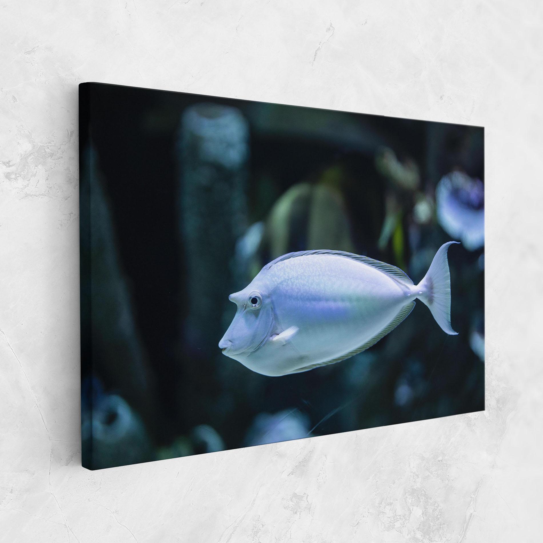 Tablou Canvas Funny Face Fish mockup 1