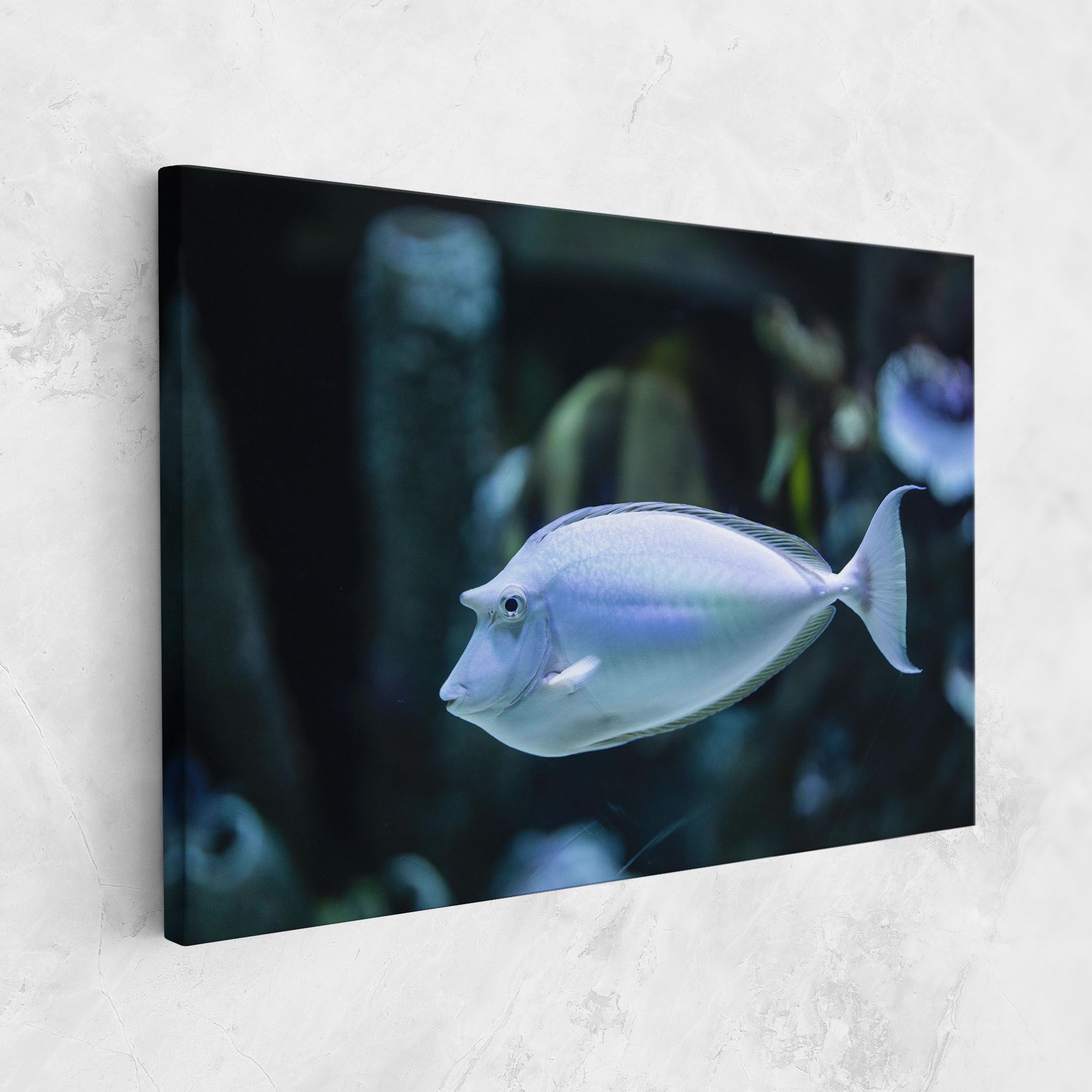 Funny Face Fish mockup 1