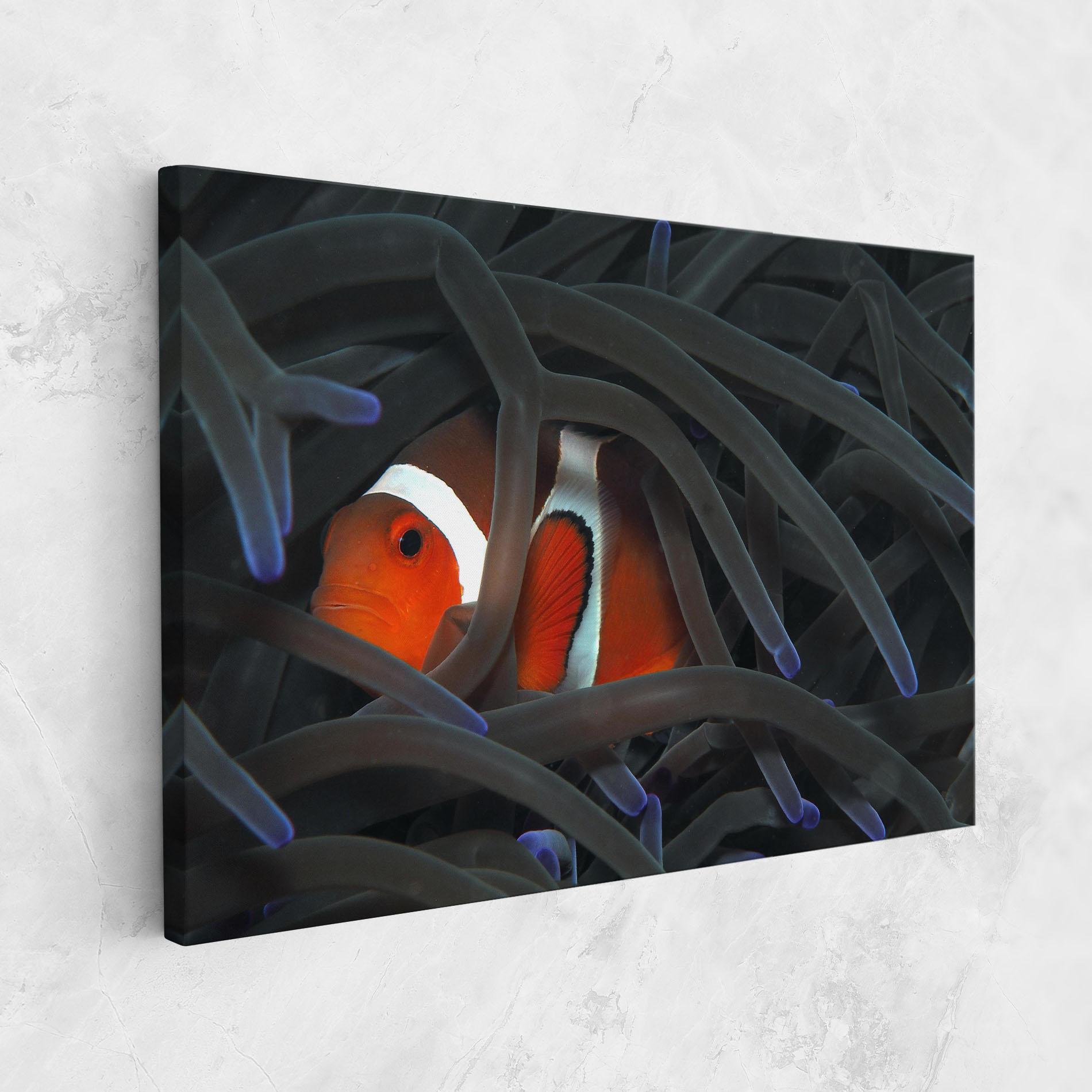 Tablou Canvas Nemo Hiding mockup 1