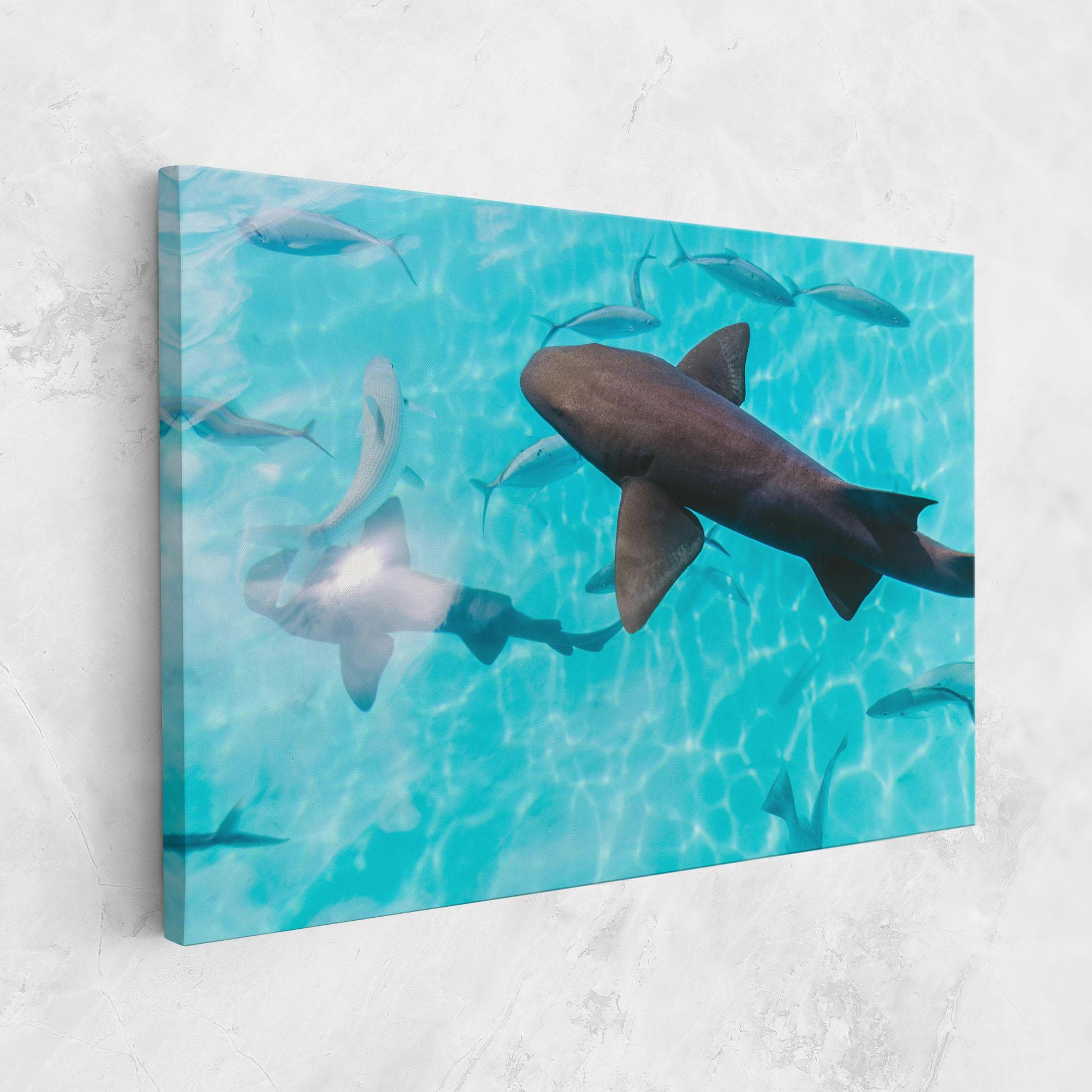 Tablou Canvas Pretty Shark mockup 1