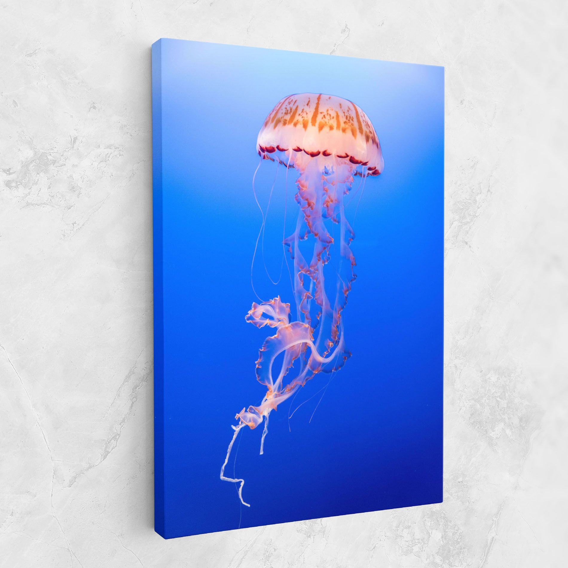 Pretty White Jellyfish mockup 1