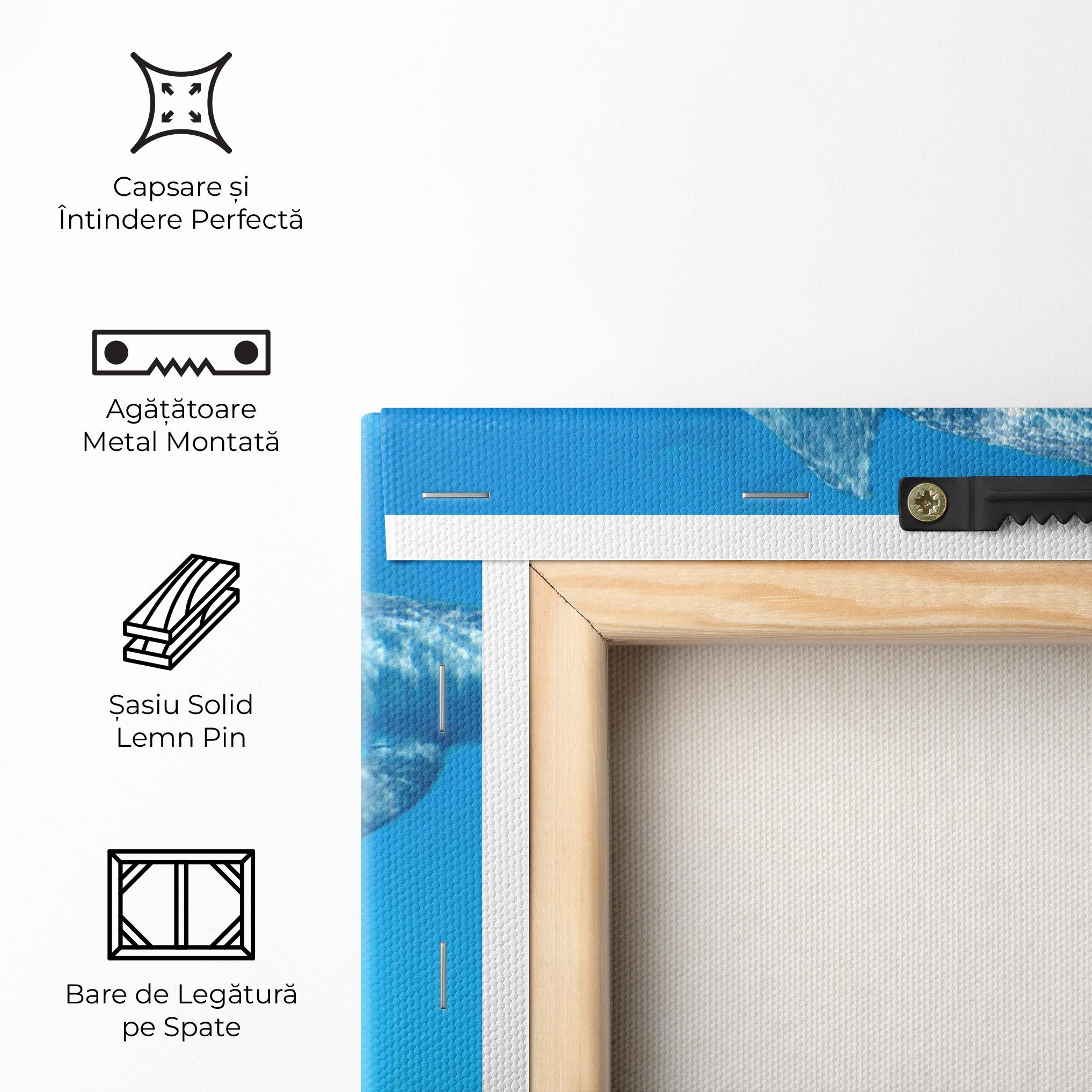 Family Of Dolphins mockup 5