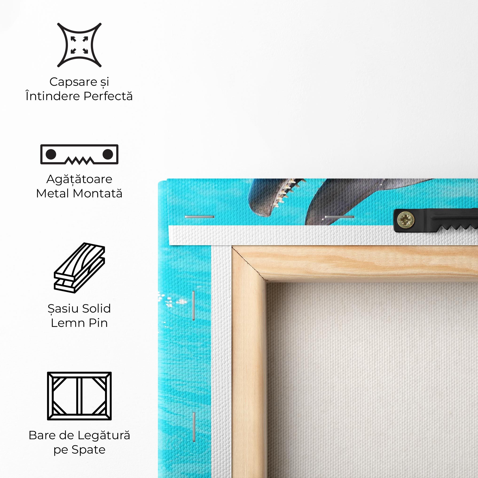 Trained Dolphin mockup 5