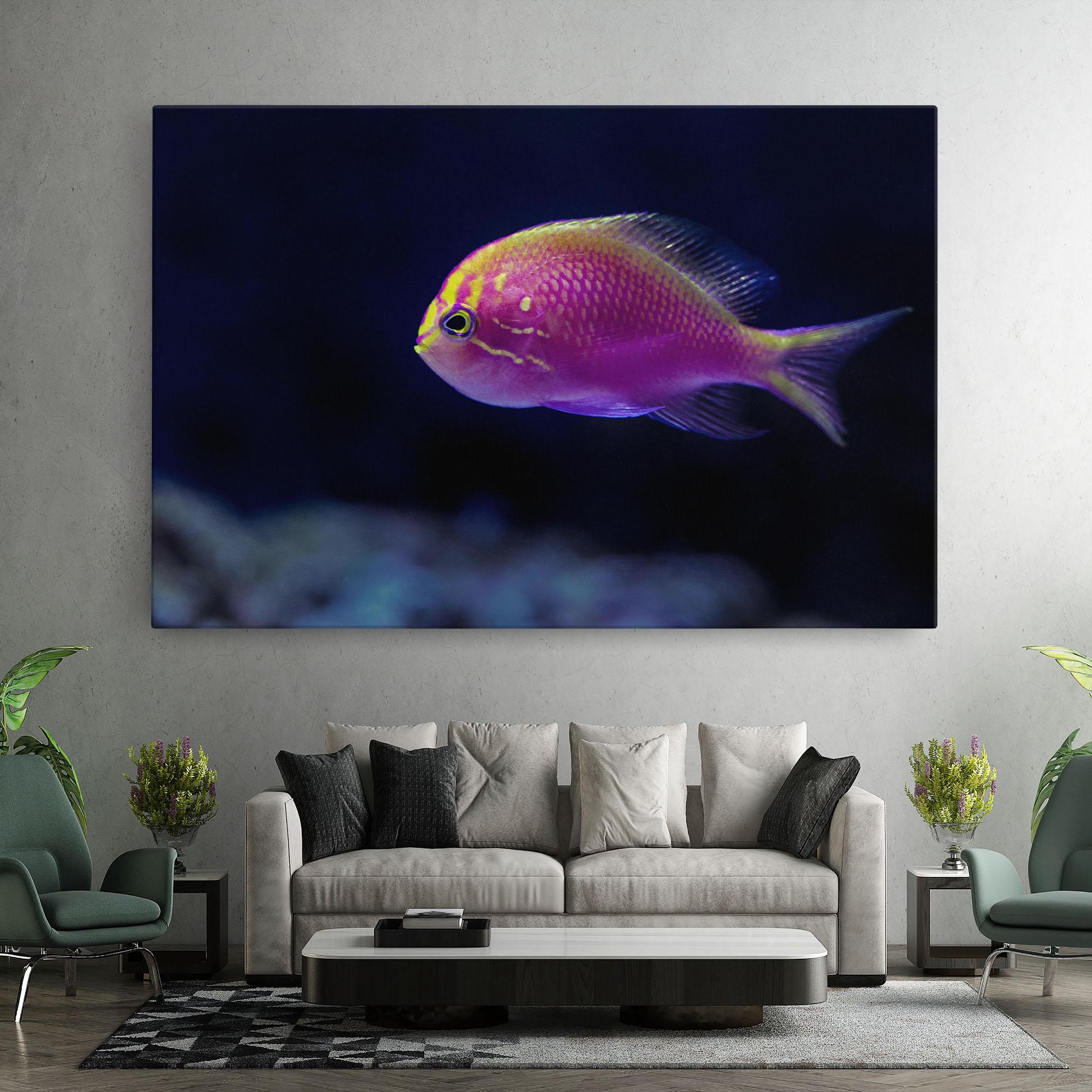 Tablou Canvas Angry Pink Fish mockup 7