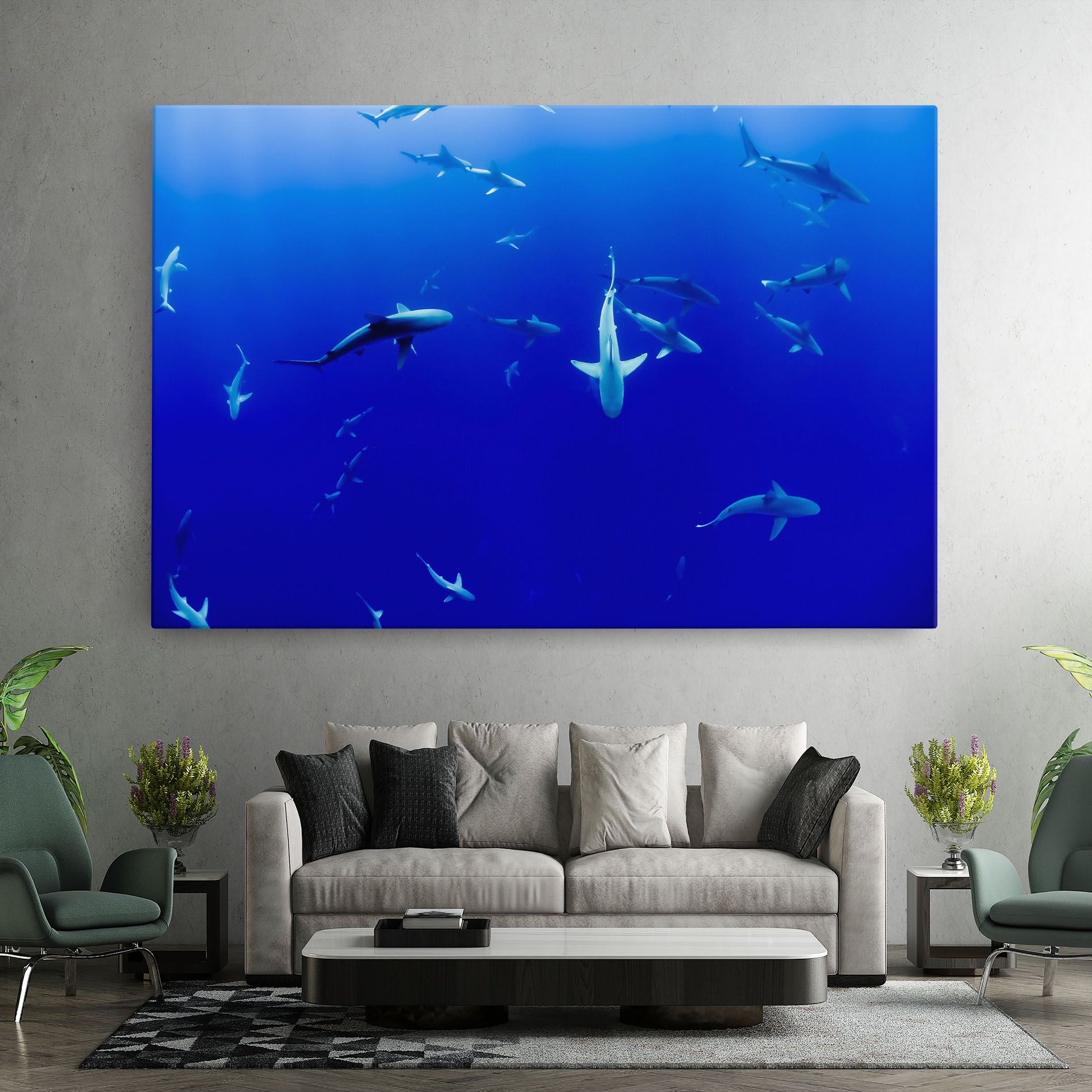 Baby Sharks mockup 7