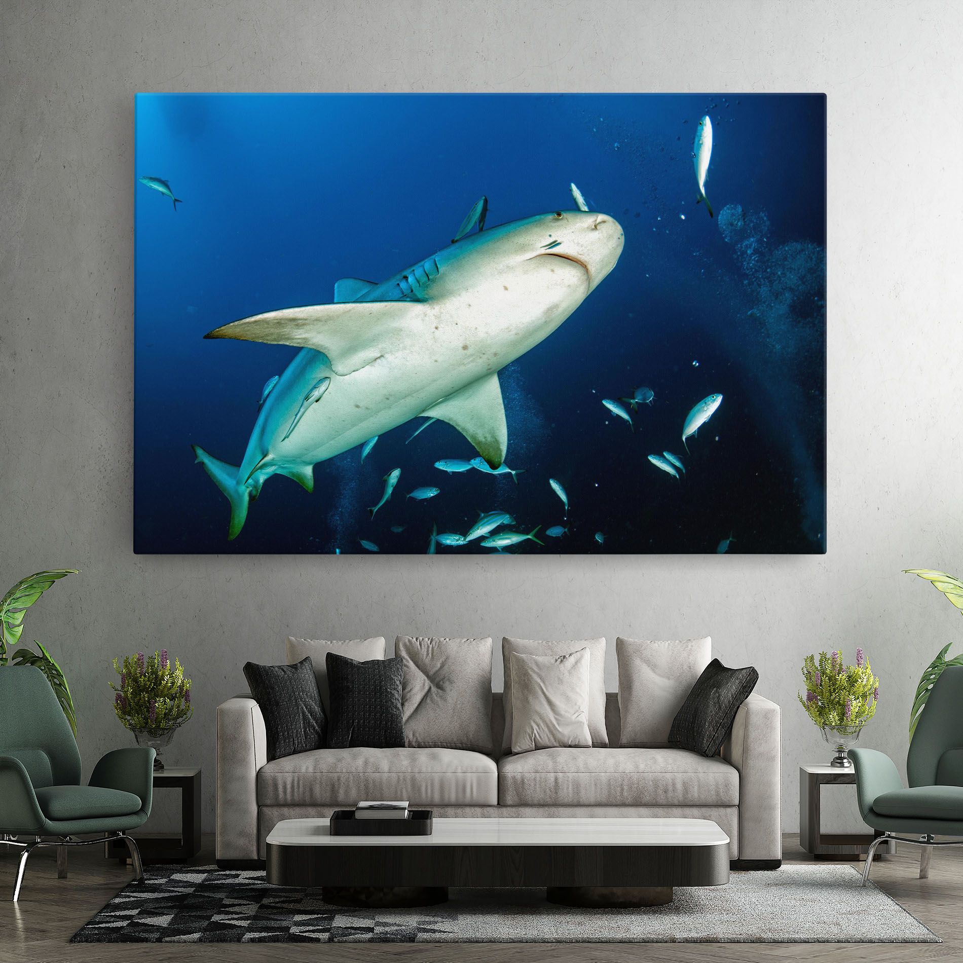 Bull Shark mockup 7