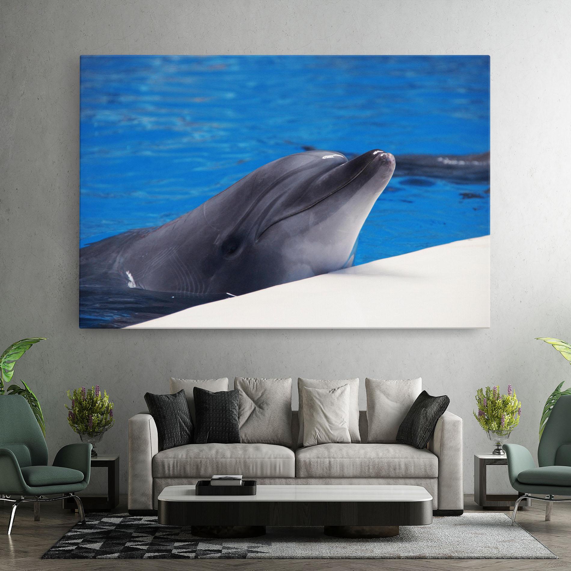 Tablou Canvas Cute Dolphin mockup 7