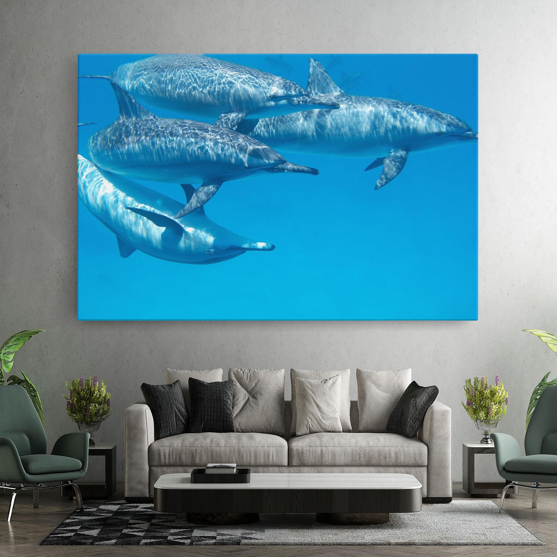 Tablou Canvas Family Of Dolphins mockup 7