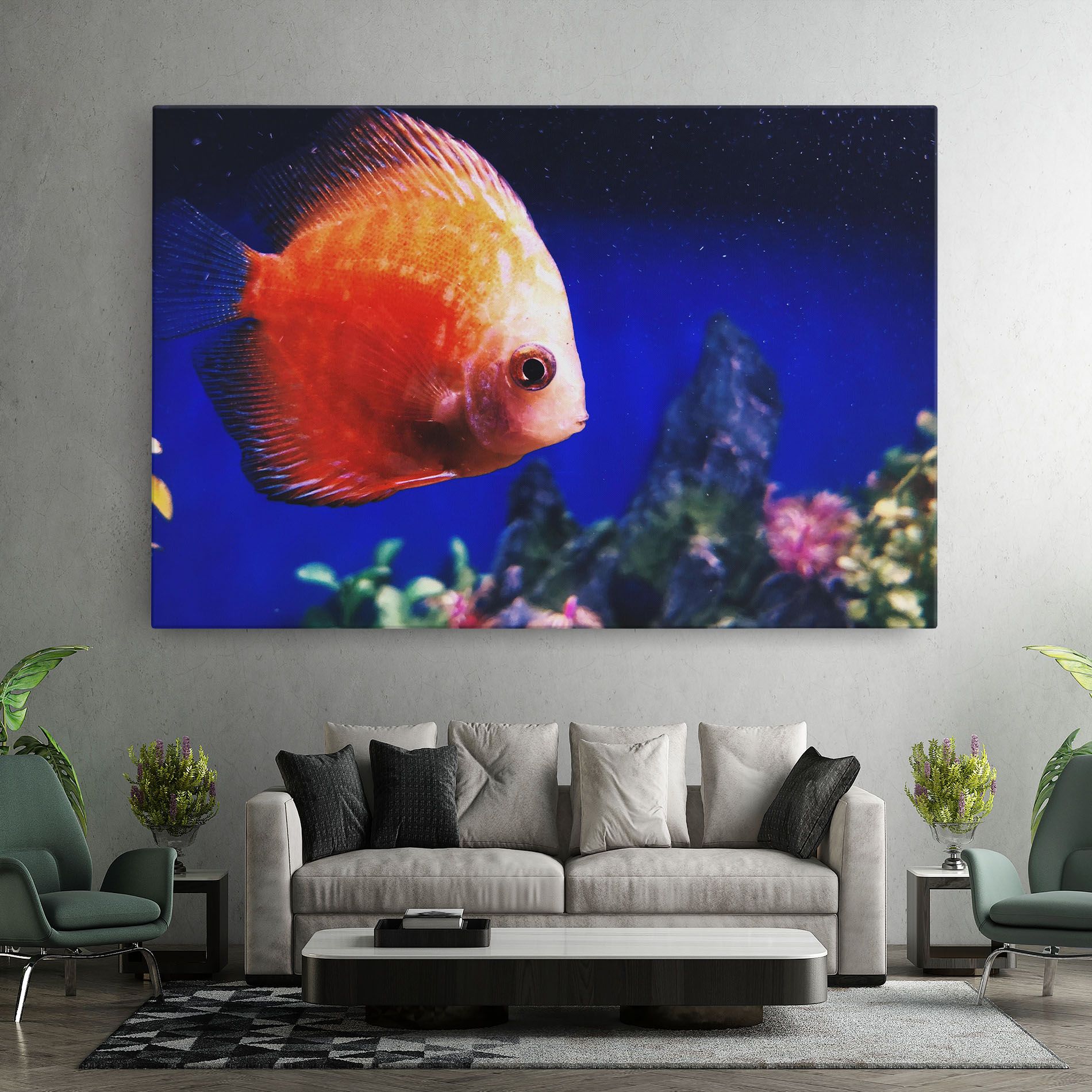 Pretty Orange Fish mockup 7