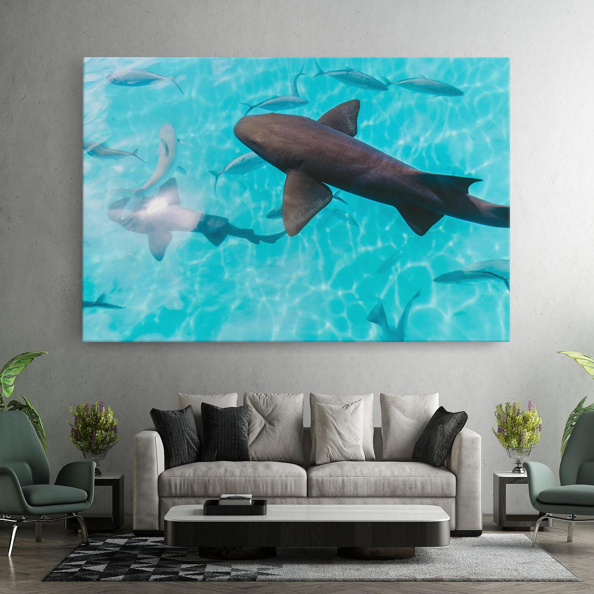 Tablou Canvas Pretty Shark mockup 7