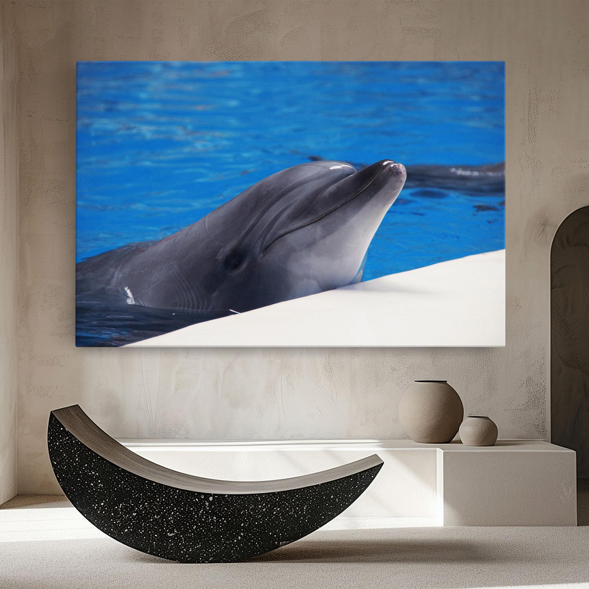 Tablou Canvas Cute Dolphin mockup 8