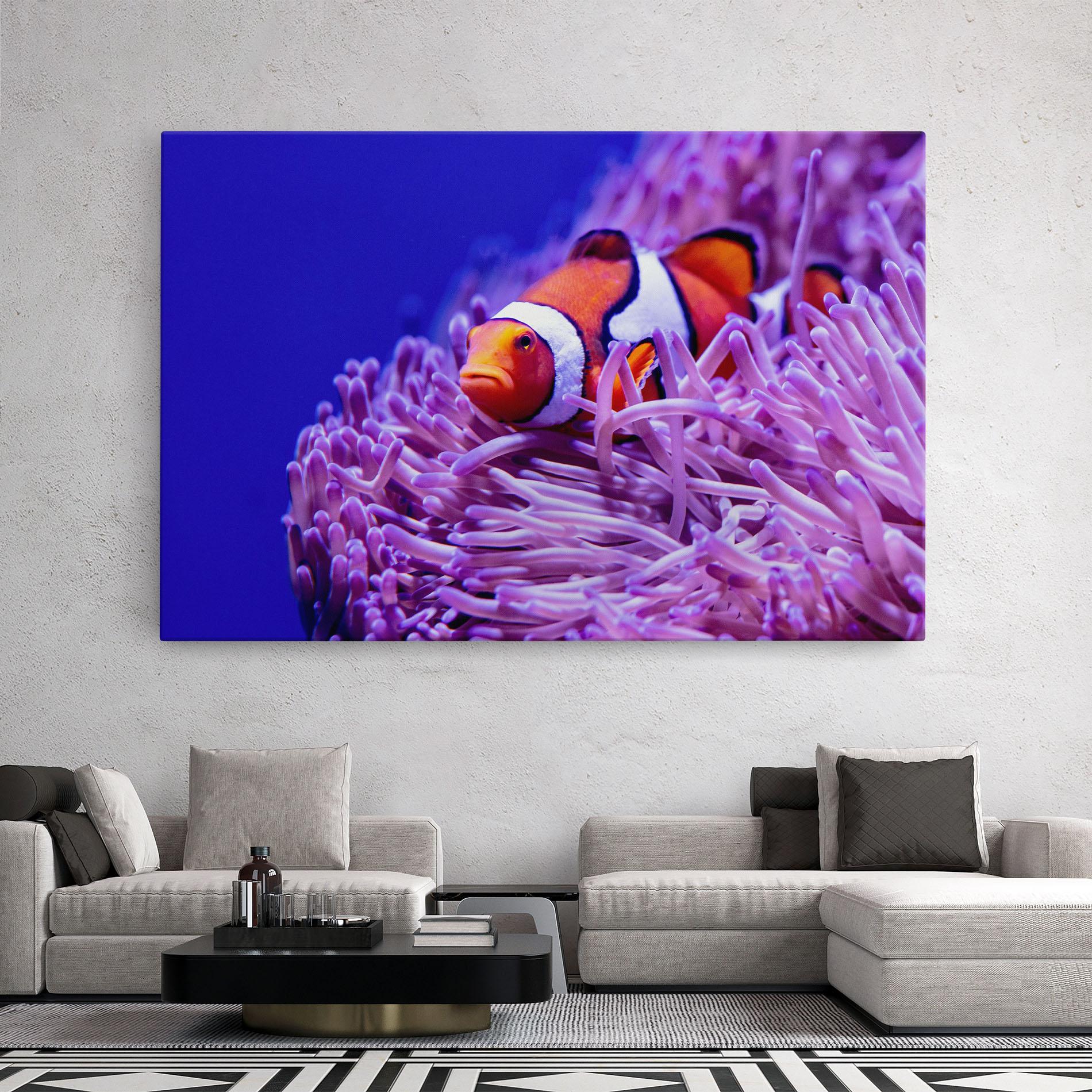 Tablou Canvas Angry Nemo mockup 2