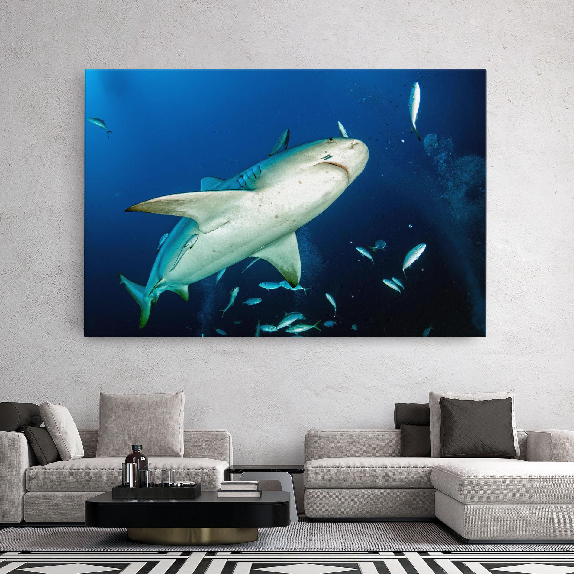 Tablou Canvas Bull Shark mockup 2