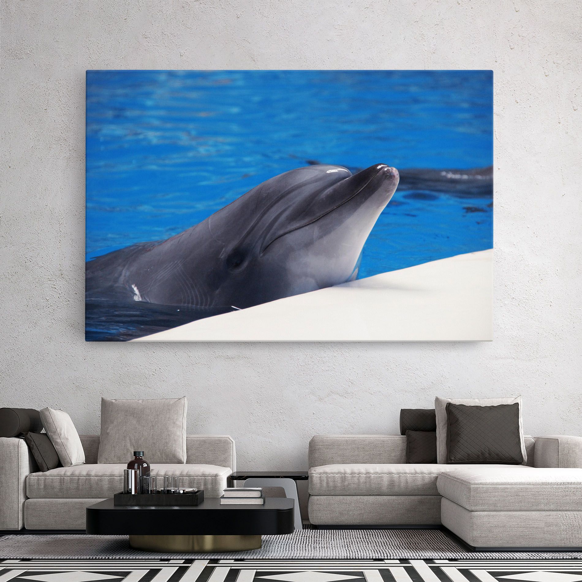 Cute Dolphin mockup 2