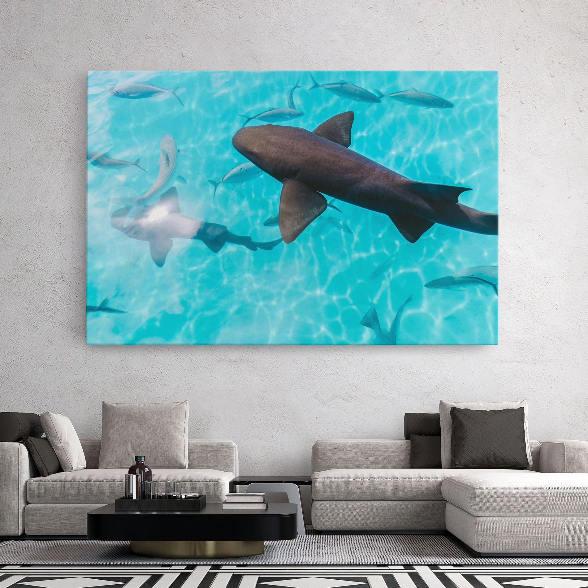 Pretty Shark mockup 2