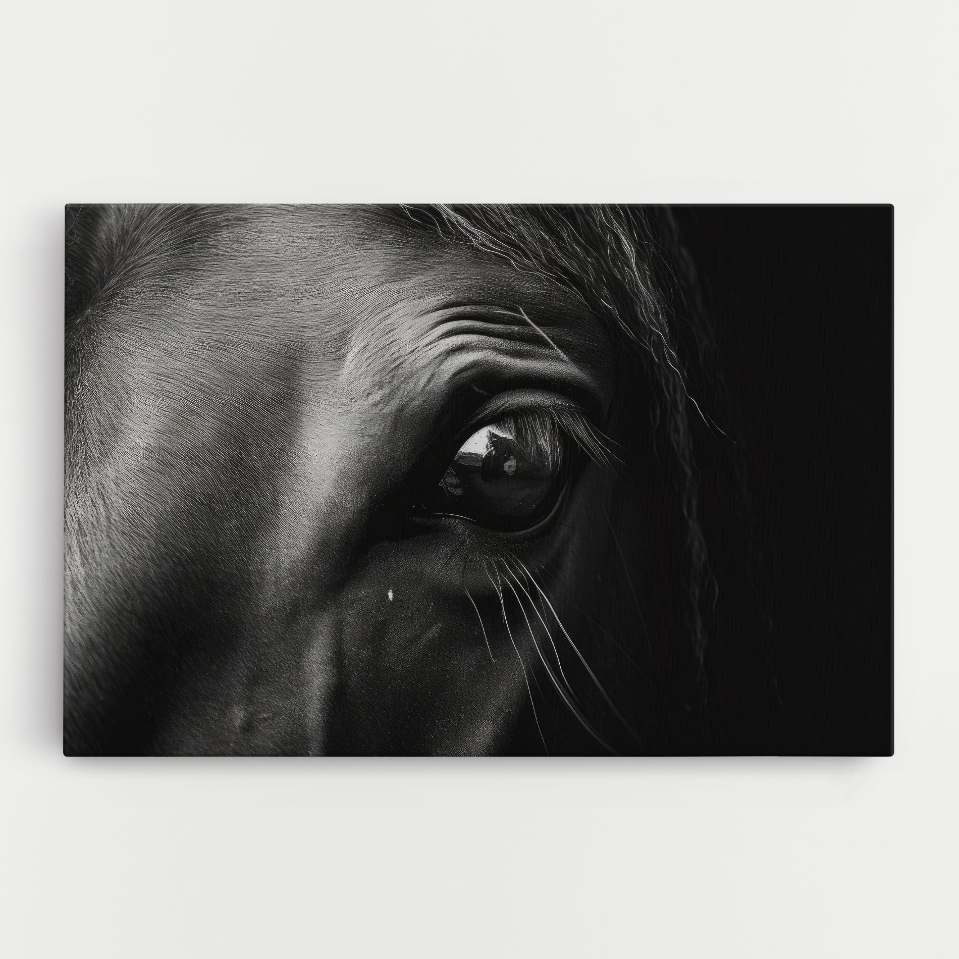 Black Horse Eye mockup 0