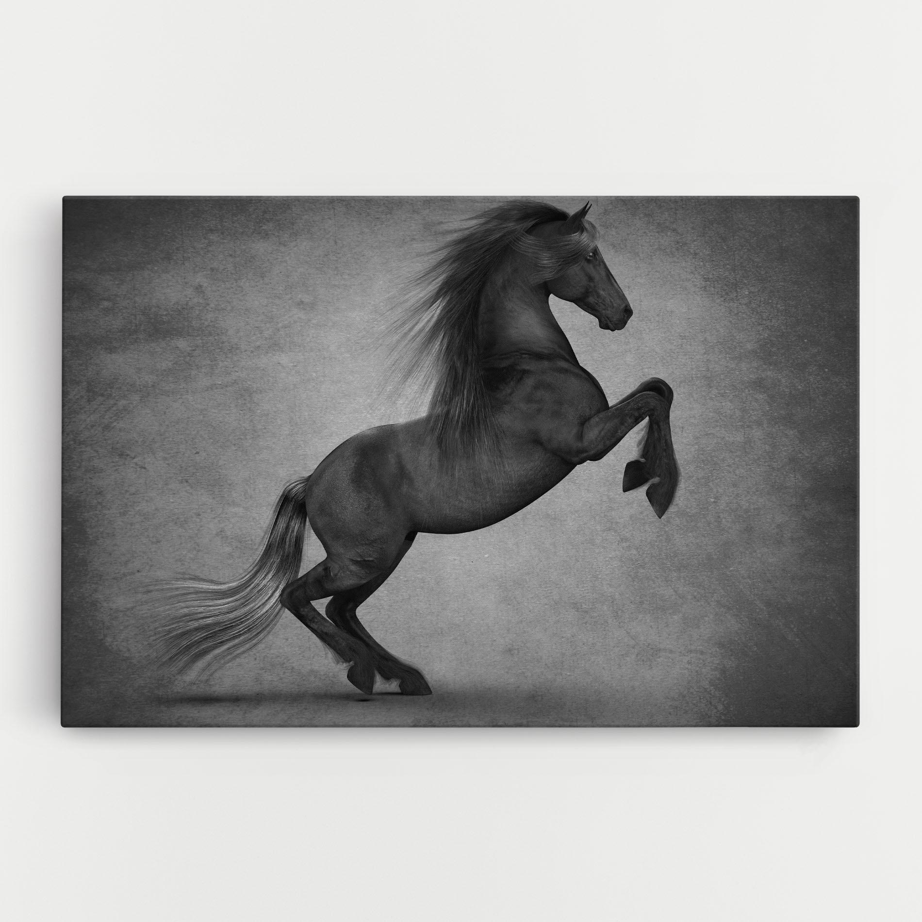 Tablou Canvas Black Horse Jumping mockup 0