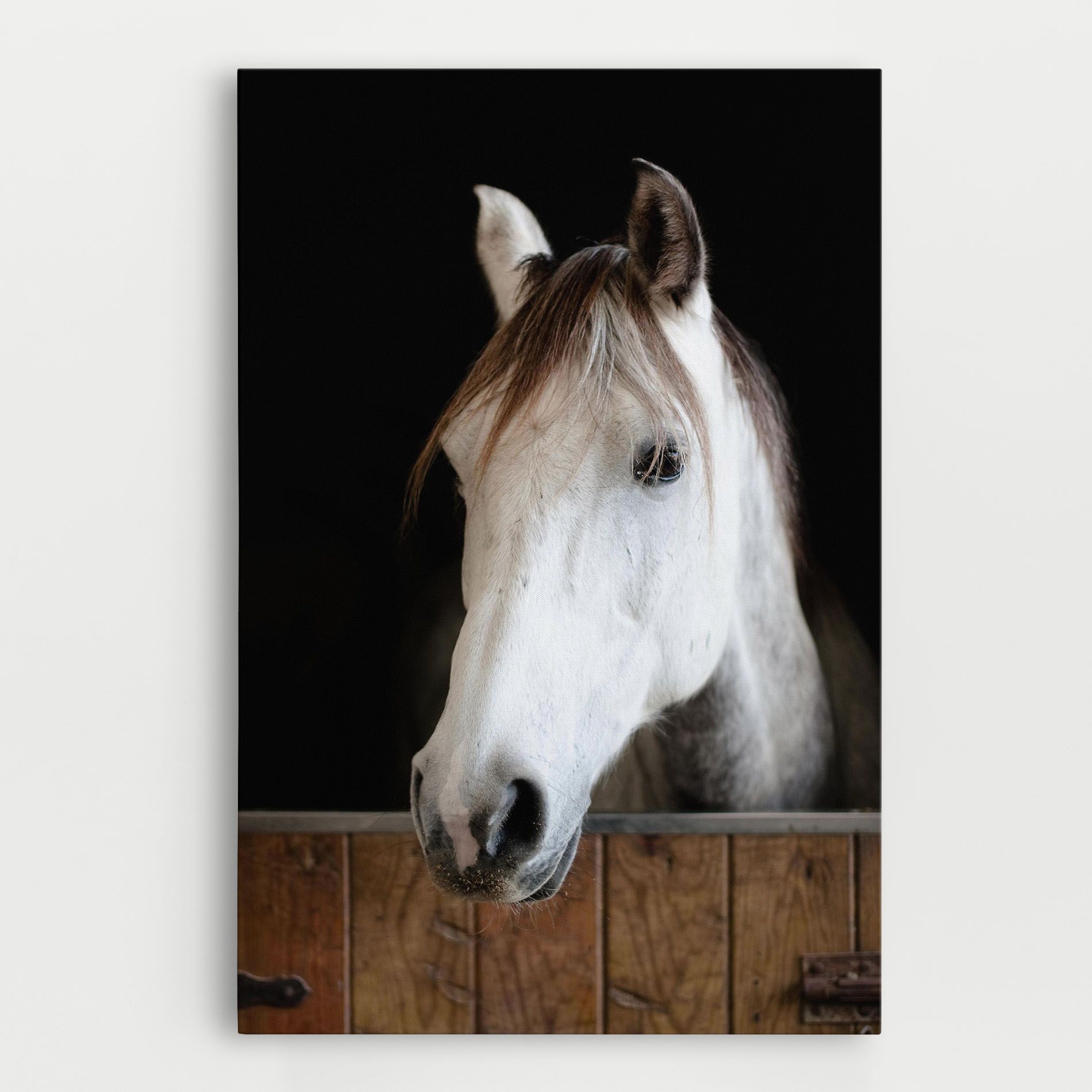 Grey Horse Head mockup 0