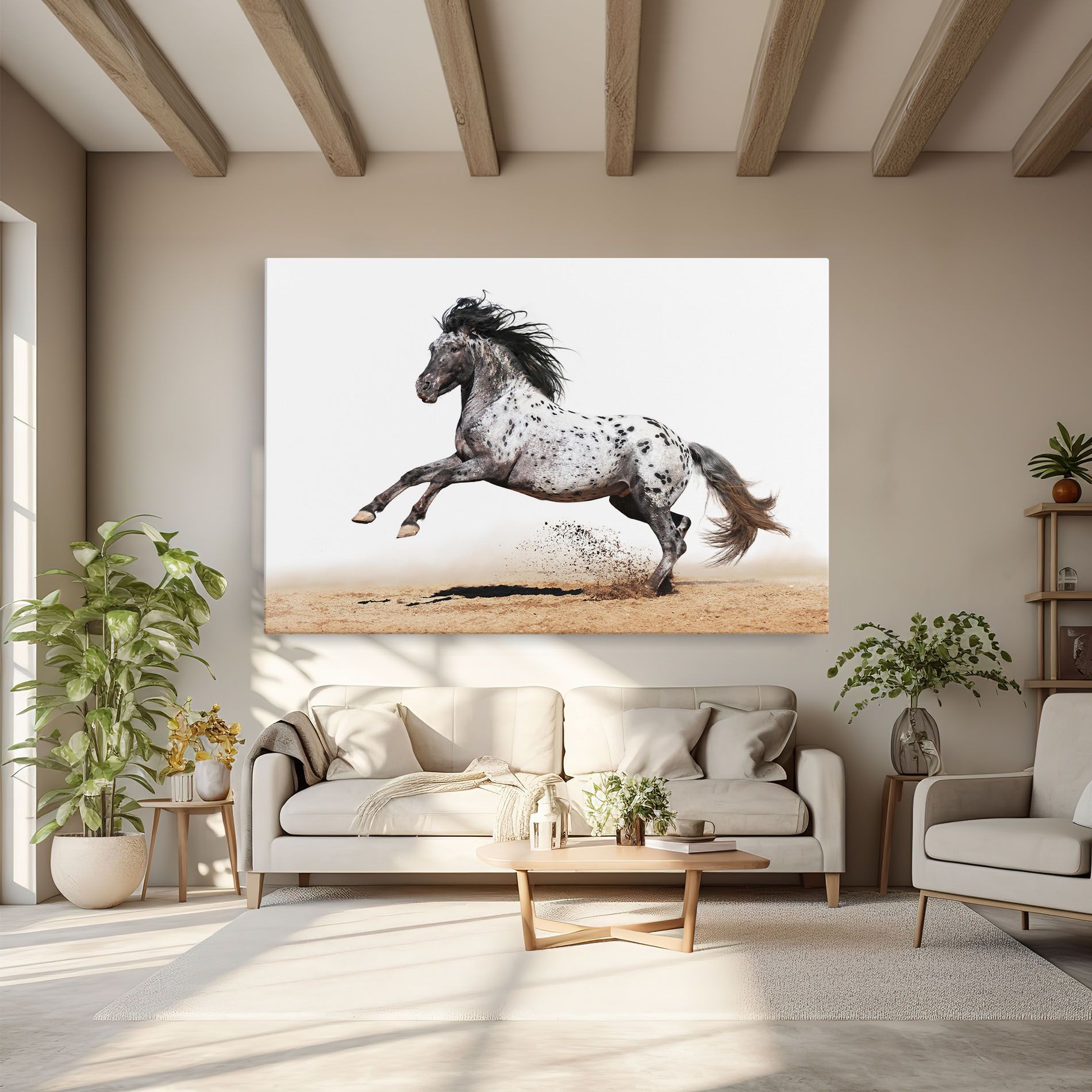 Appaloosa Horse Running mockup 6