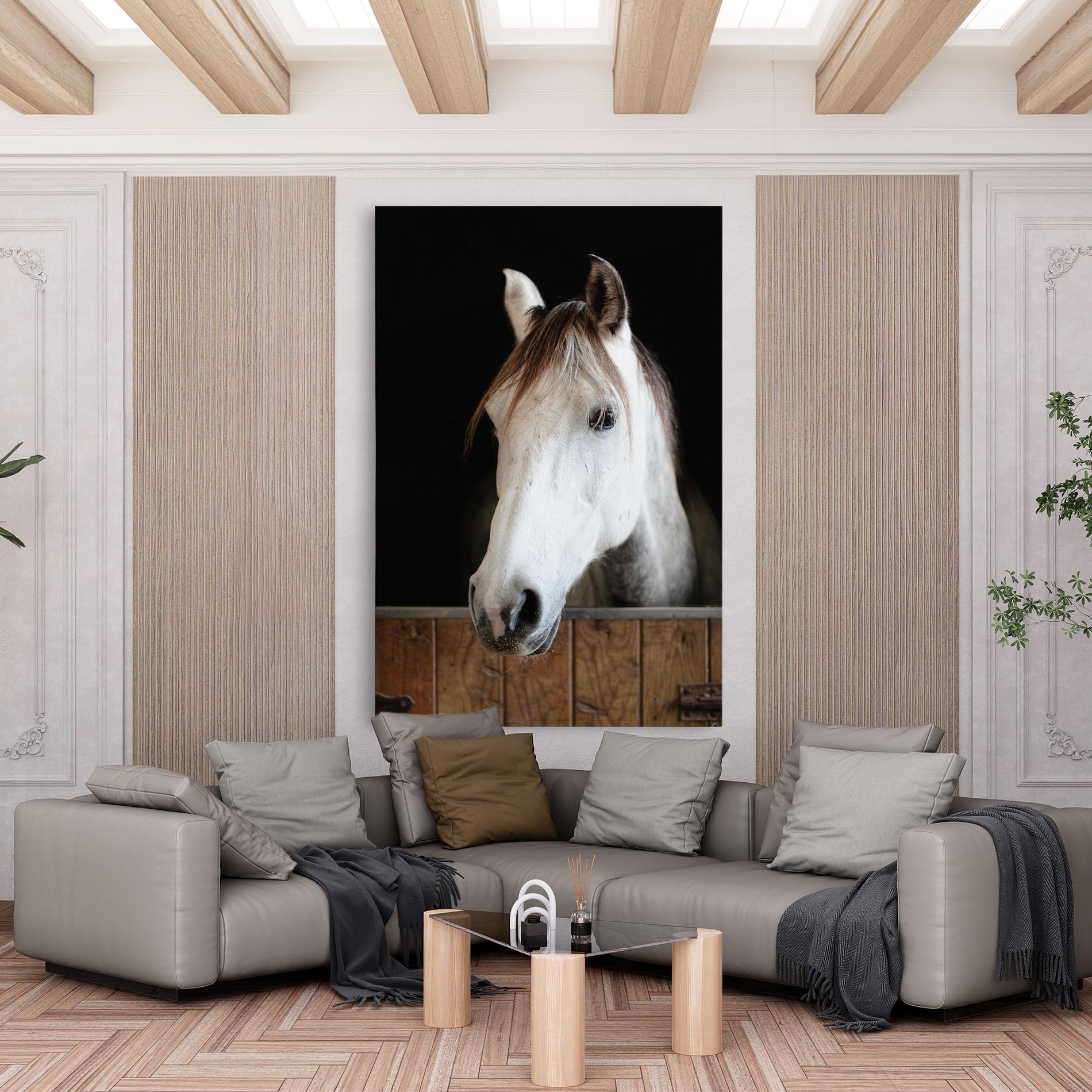 Tablou Canvas Grey Horse Head mockup 6