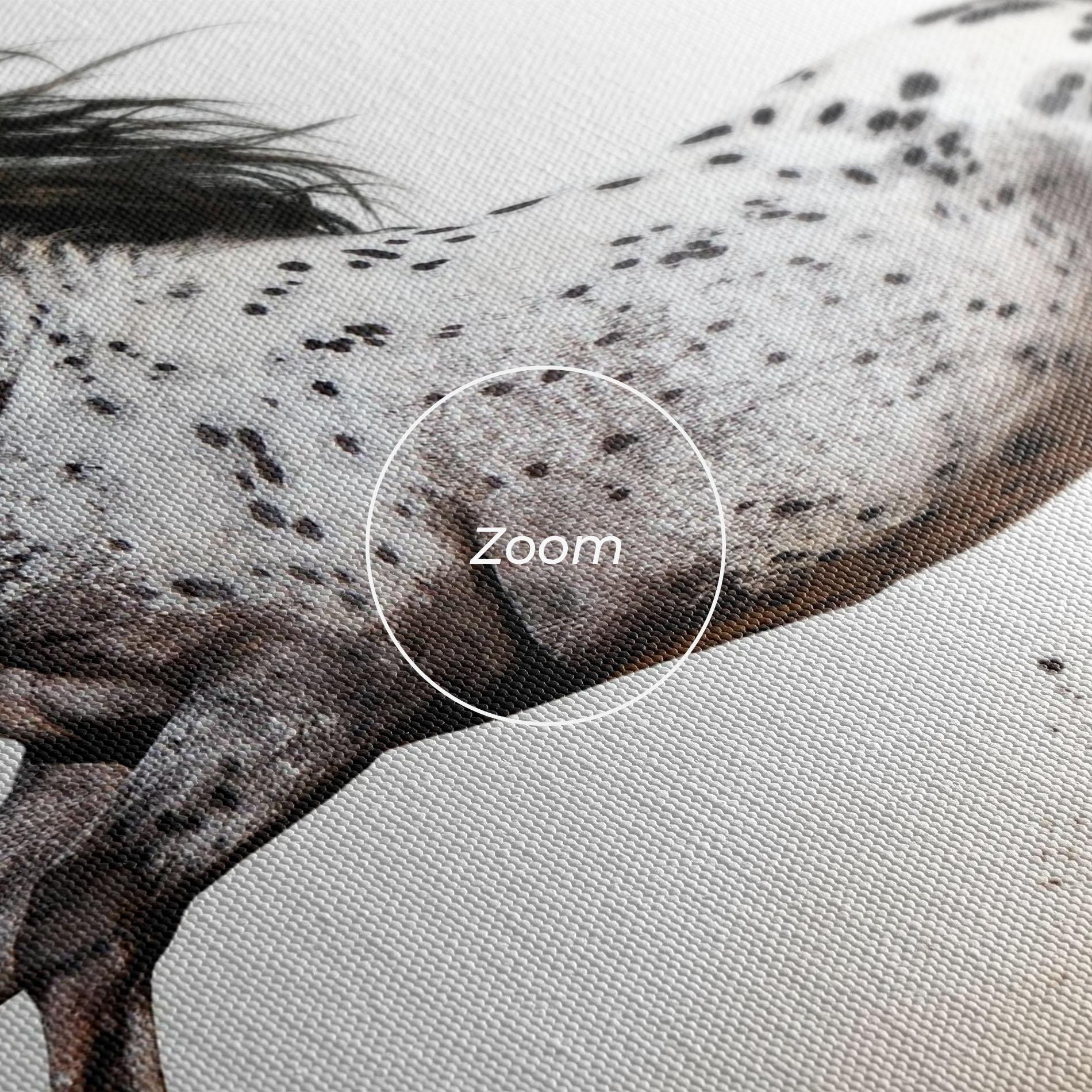 Tablou Canvas Appaloosa Horse Running mockup 3