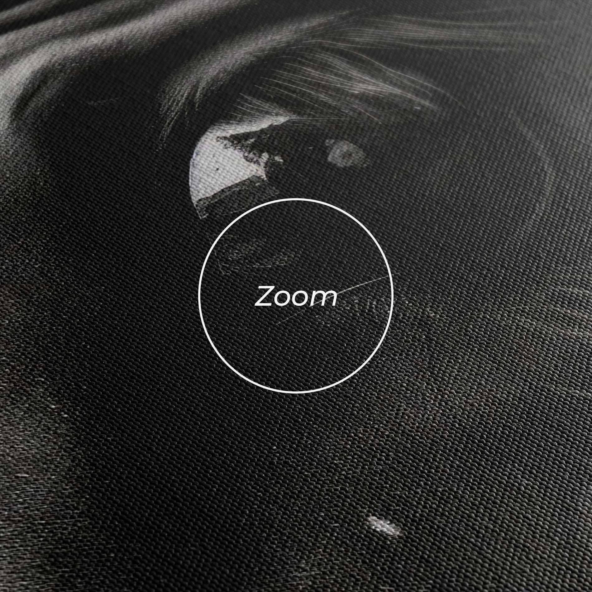 Tablou Canvas Black Horse Eye mockup 3