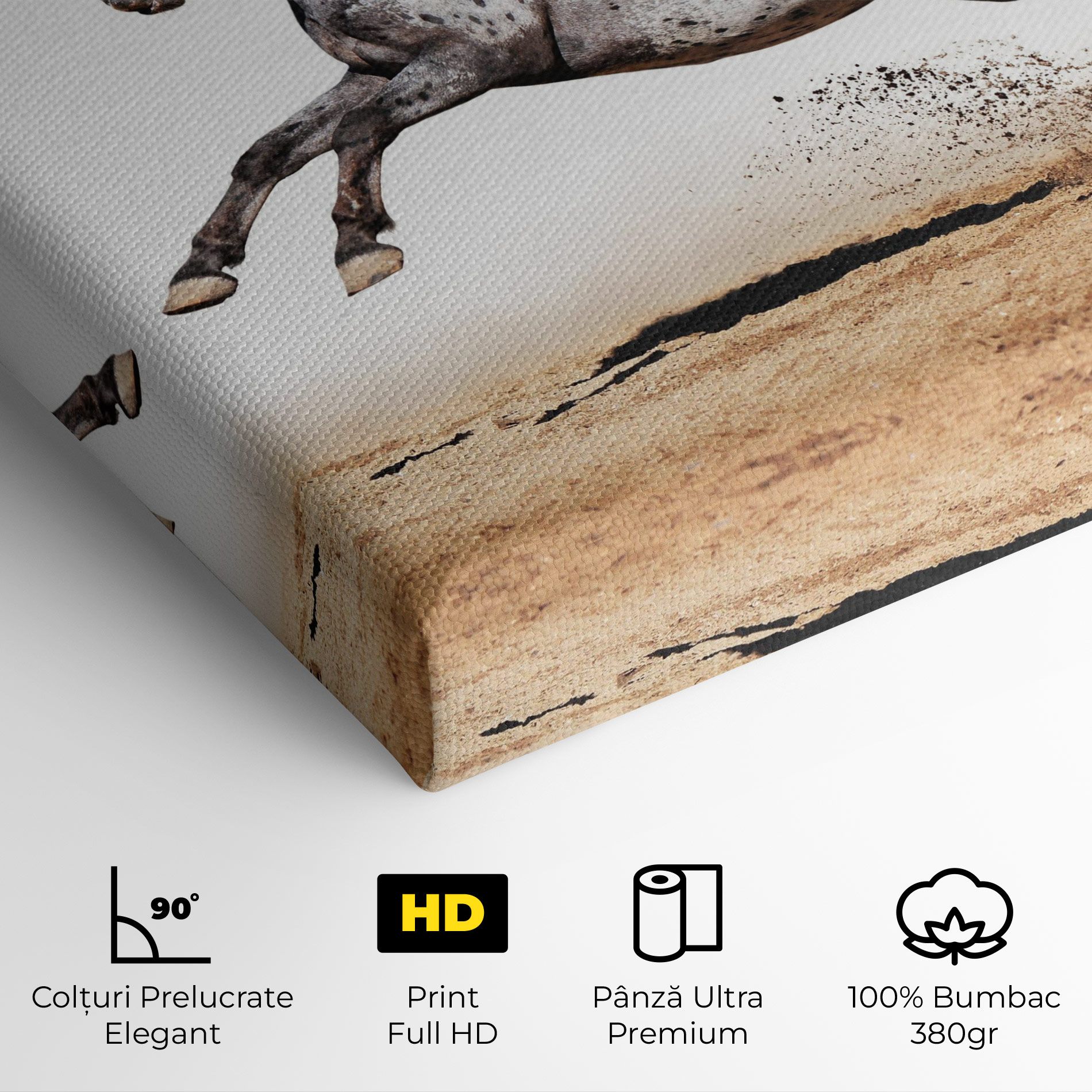 Appaloosa Horse Running mockup 4