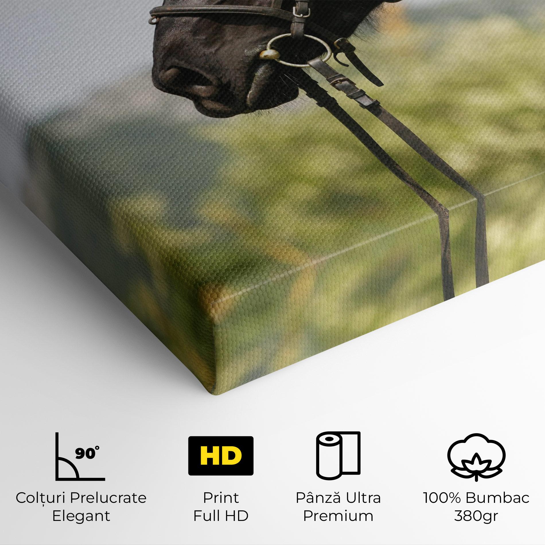 Tablou Canvas Big Ear Horse mockup 4