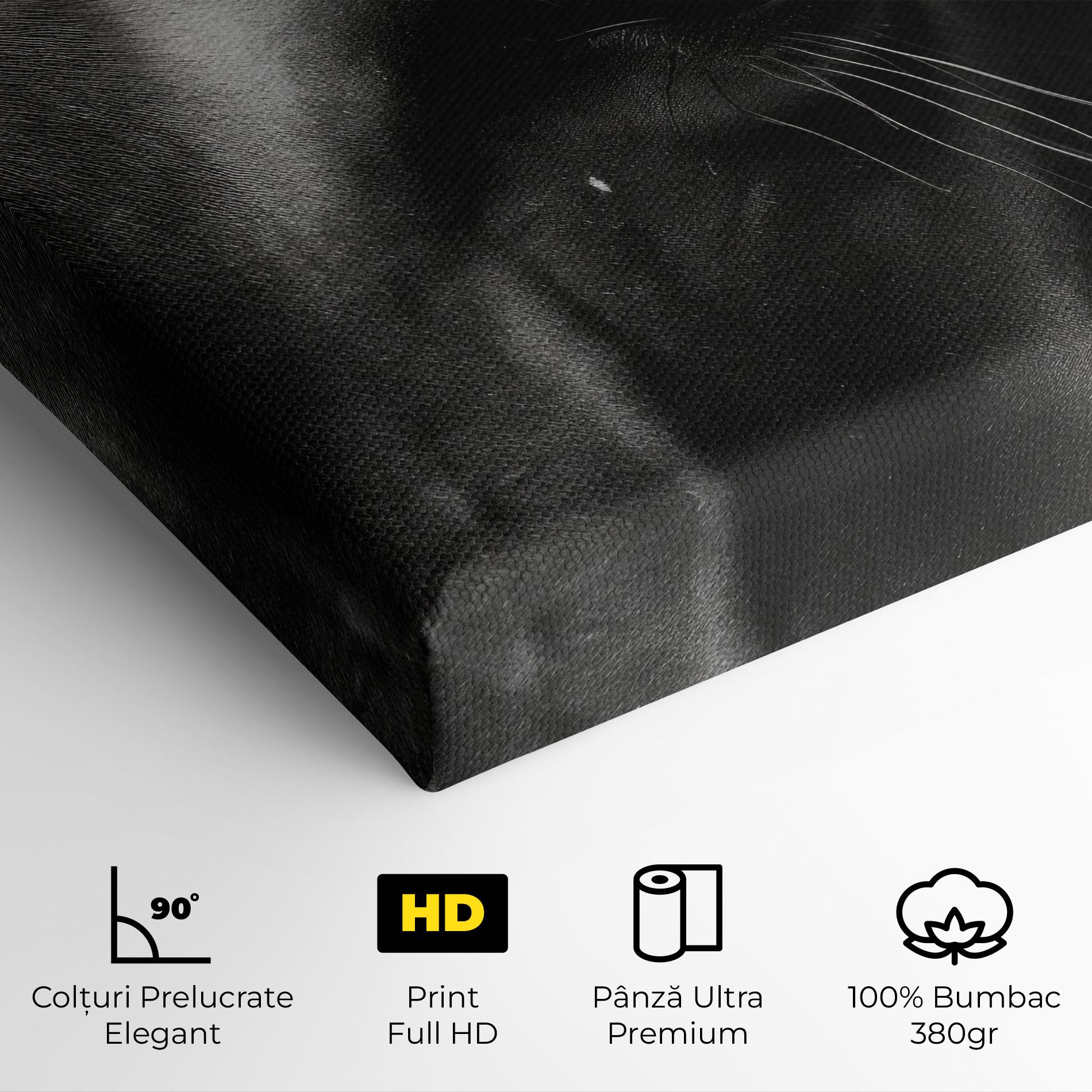 Tablou Canvas Black Horse Eye mockup 4