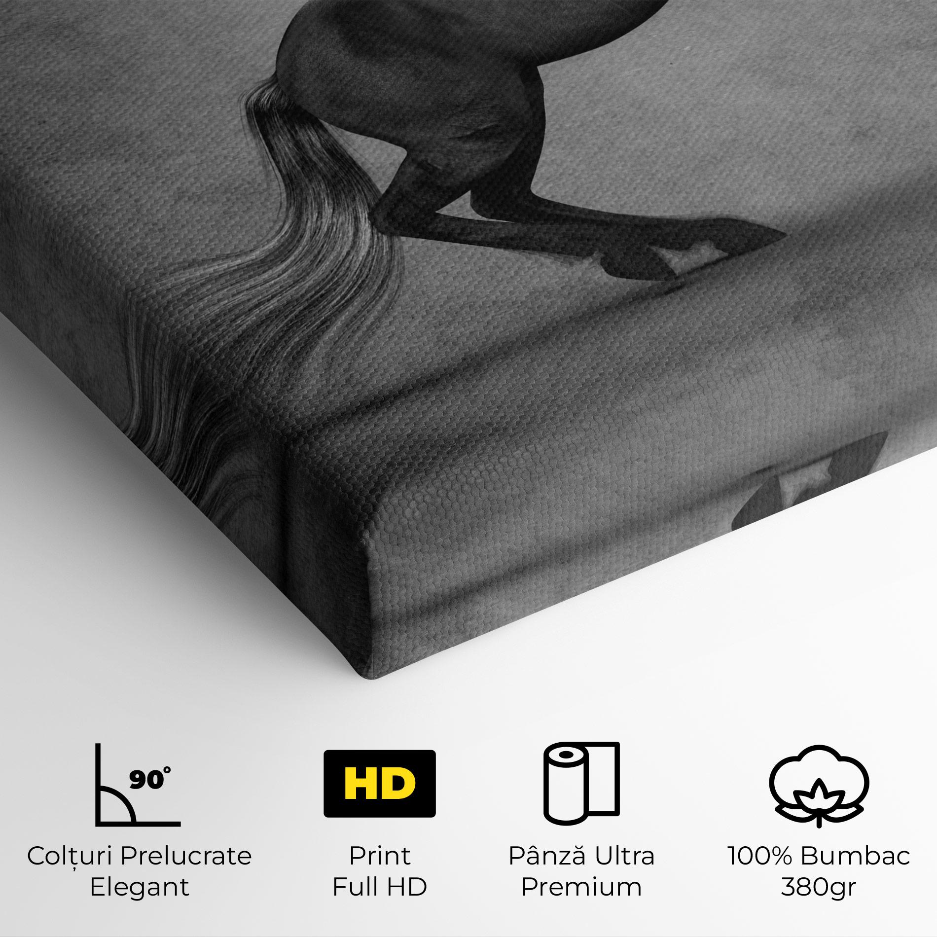 Tablou Canvas Black Horse Jumping mockup 4