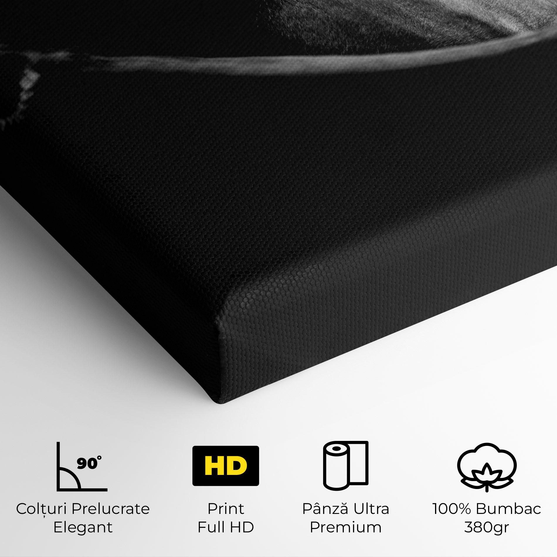 Tablou Canvas Black Horse Looking mockup 4