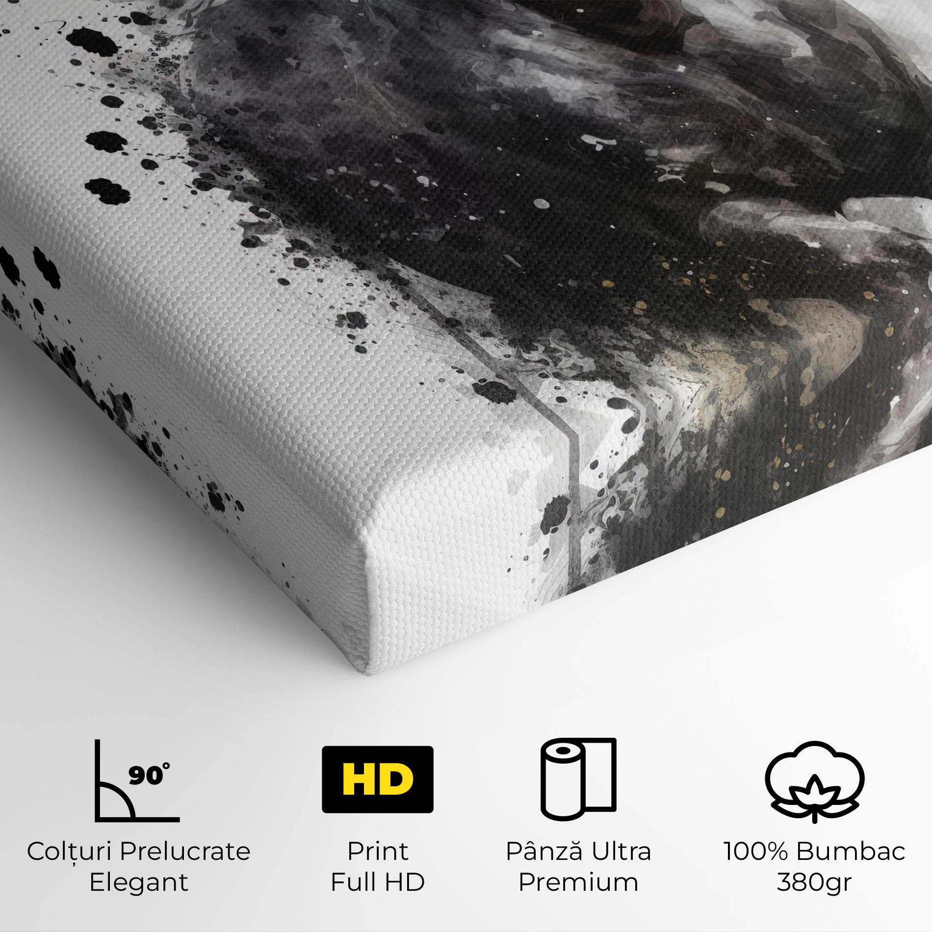 Tablou Canvas Black Horse mockup 4