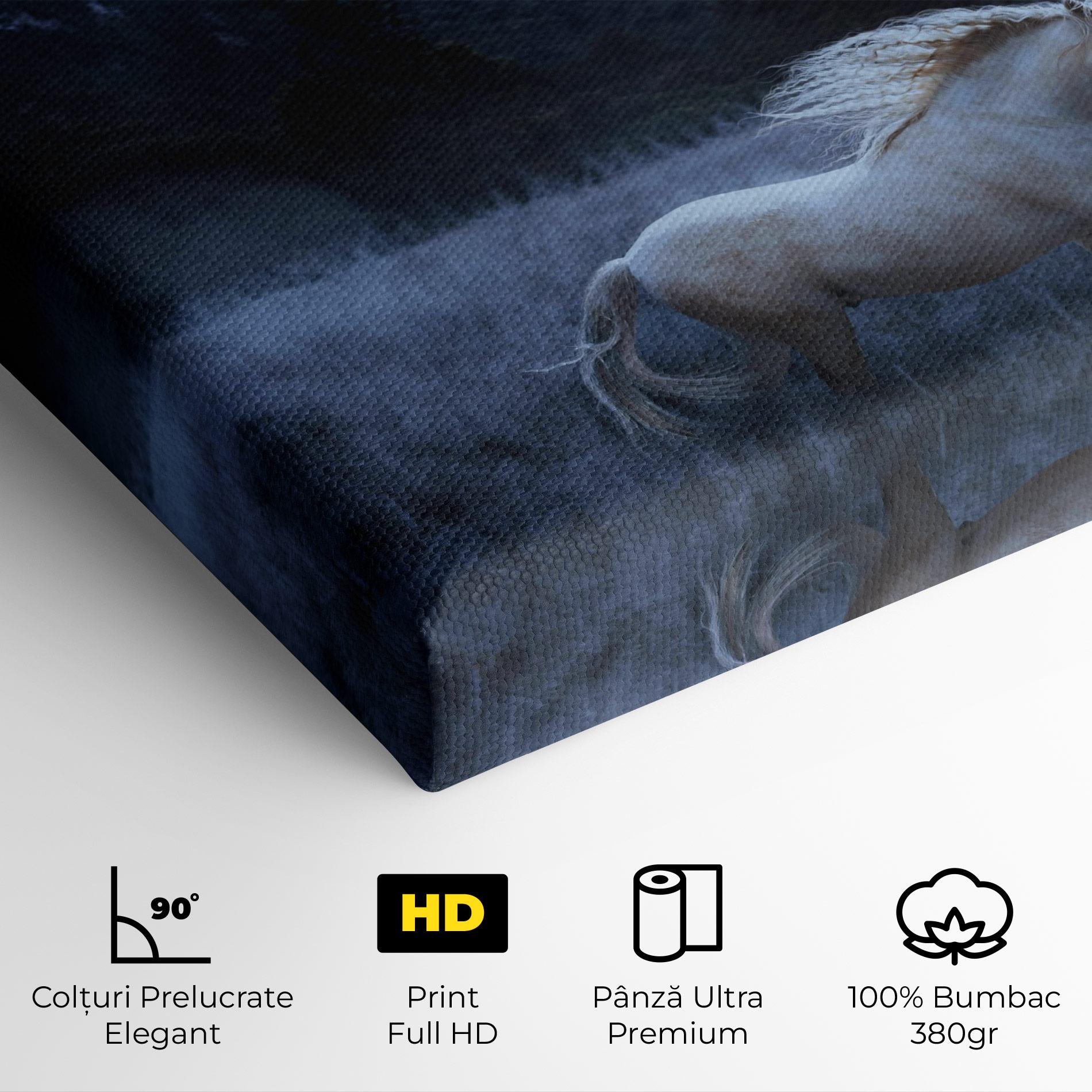 Tablou Canvas Blue Moon Unicorn mockup 4