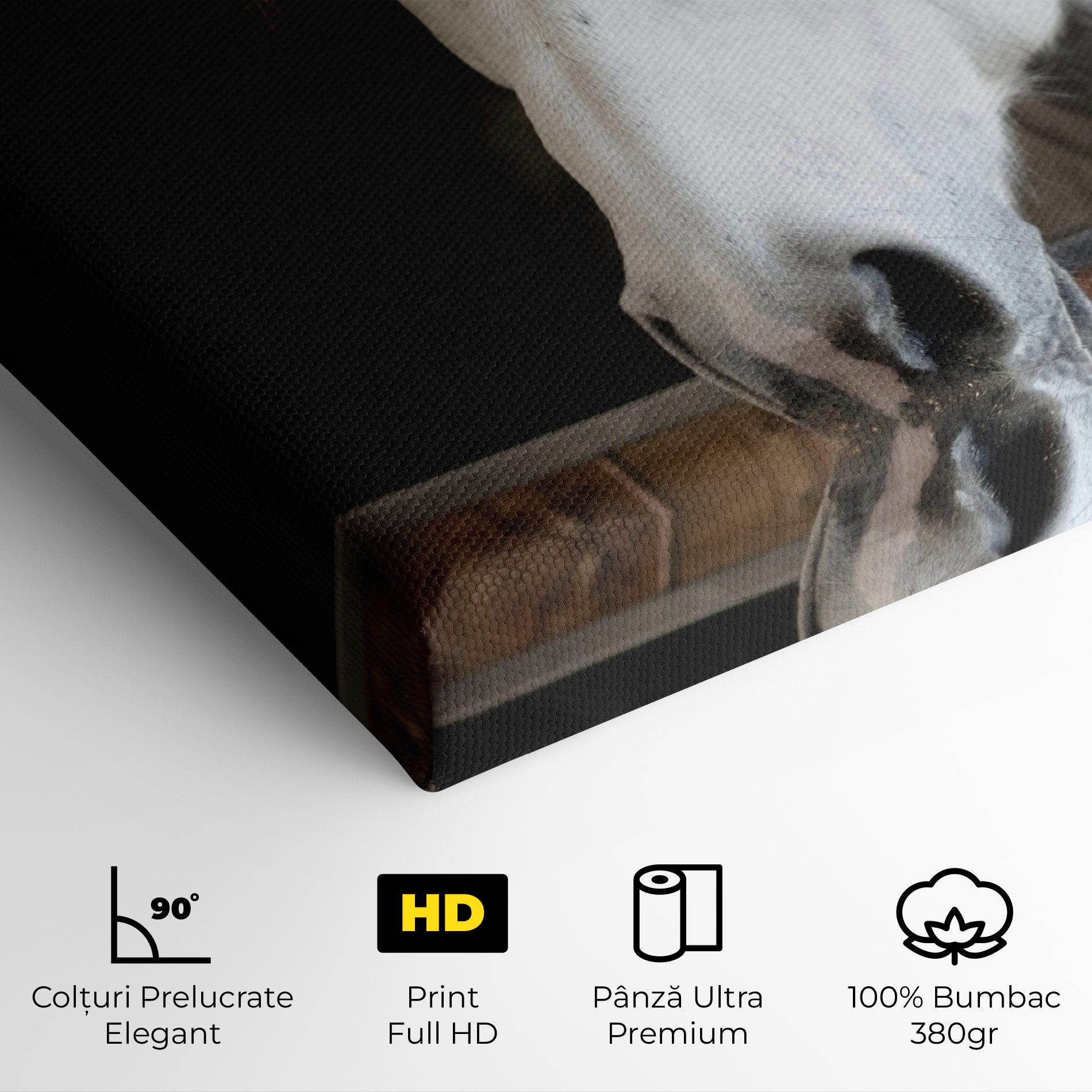 Grey Horse Head mockup 4