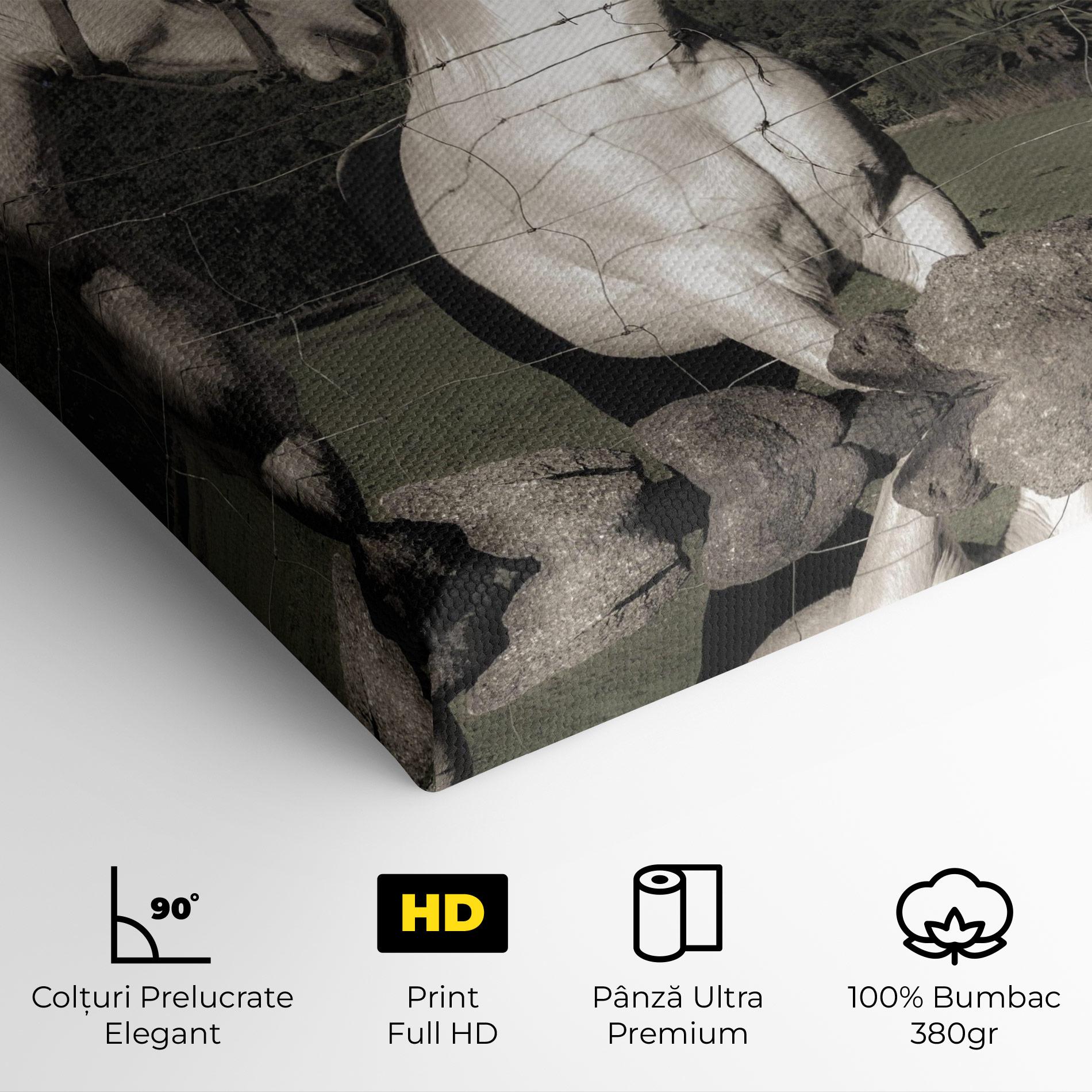 Tablou Canvas White Grey Horse mockup 4