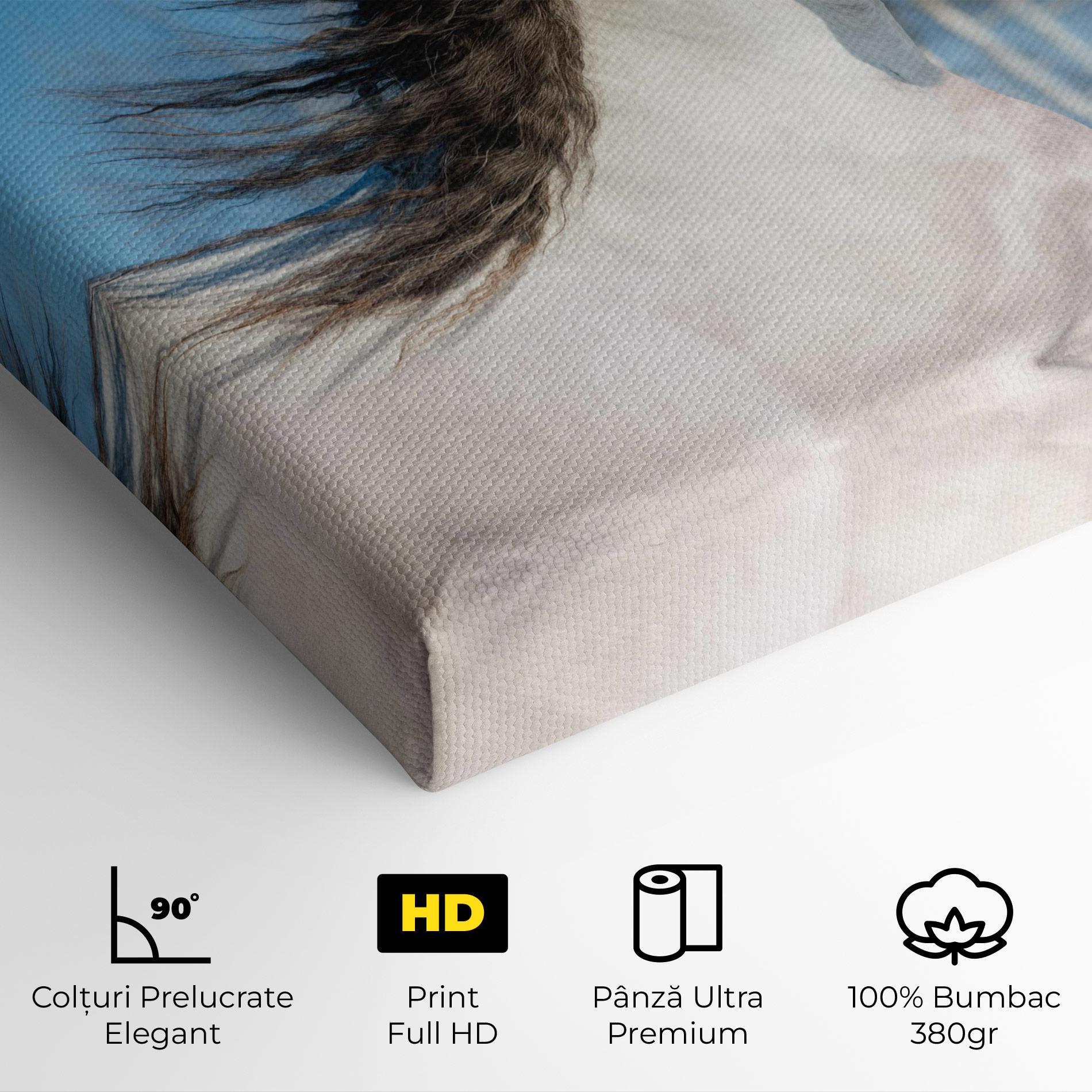 Tablou Canvas Wild Black Hair Horse mockup 4