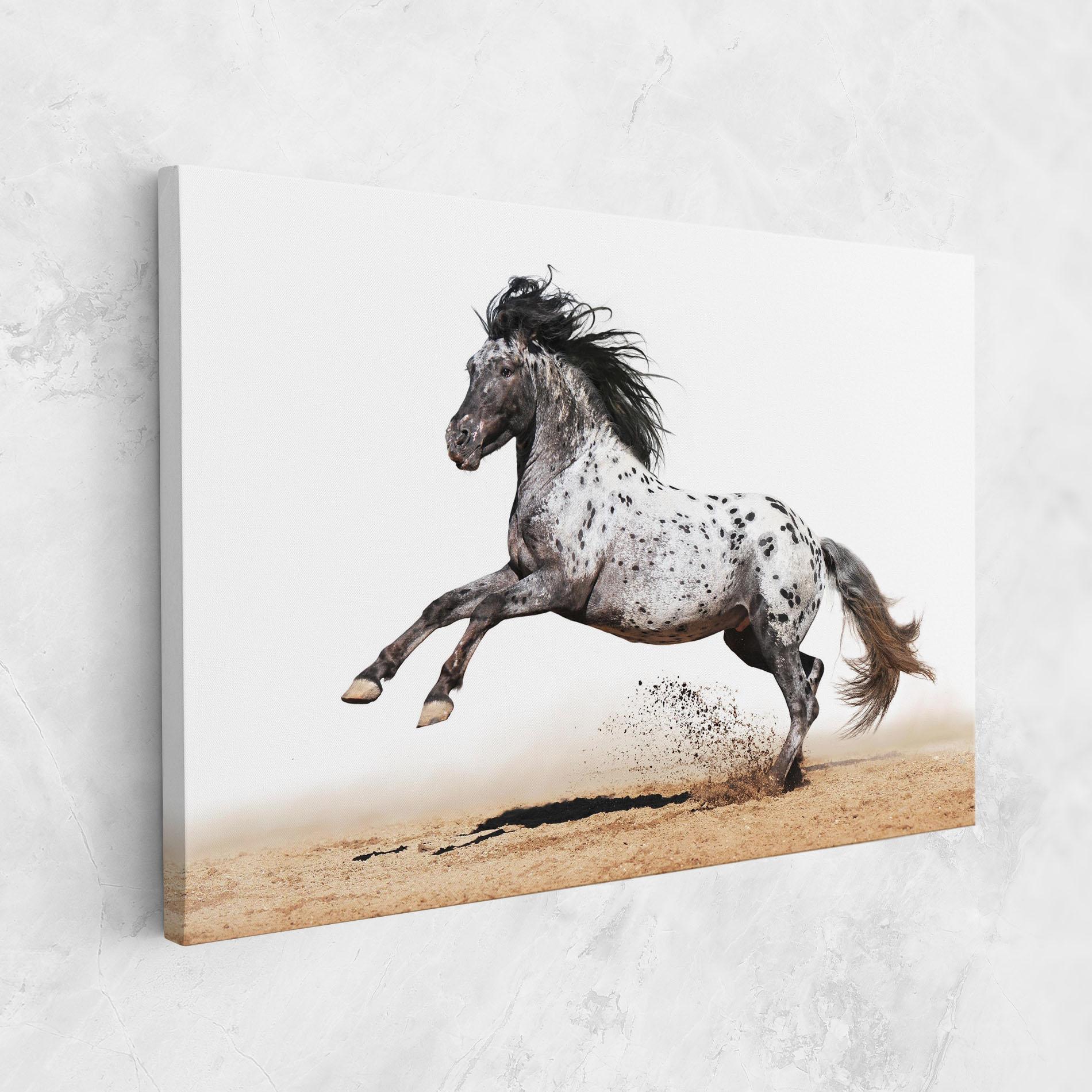 Tablou Canvas Appaloosa Horse Running mockup 1