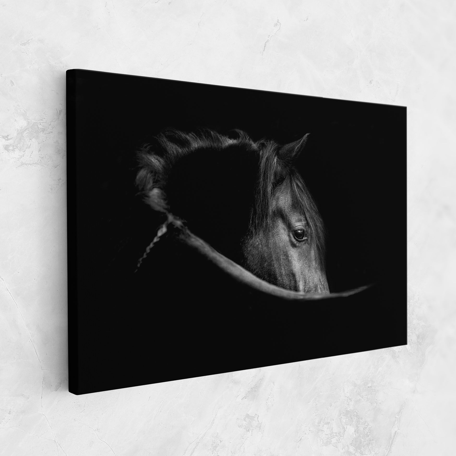Black Horse Looking mockup 1