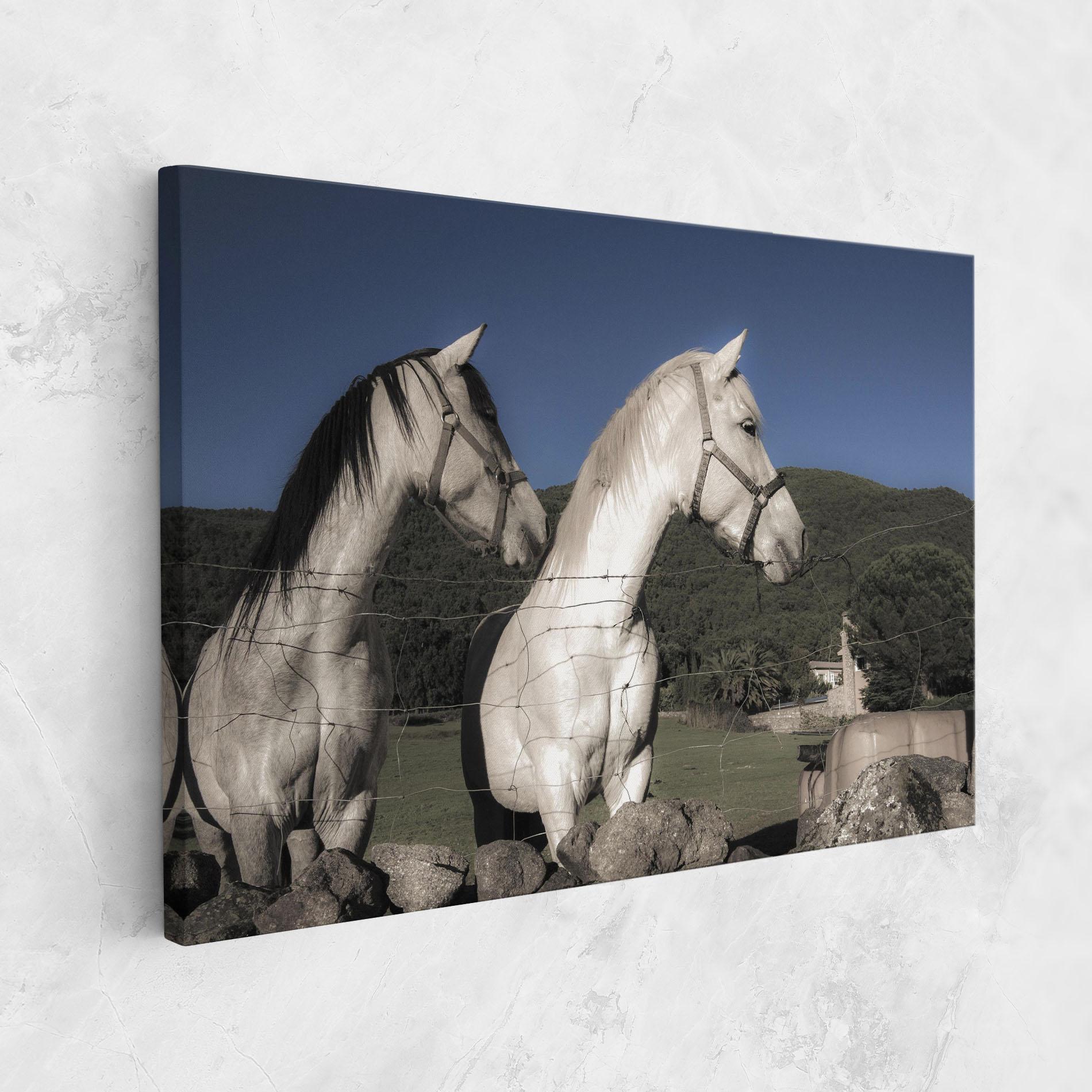 Tablou Canvas White Grey Horse mockup 1