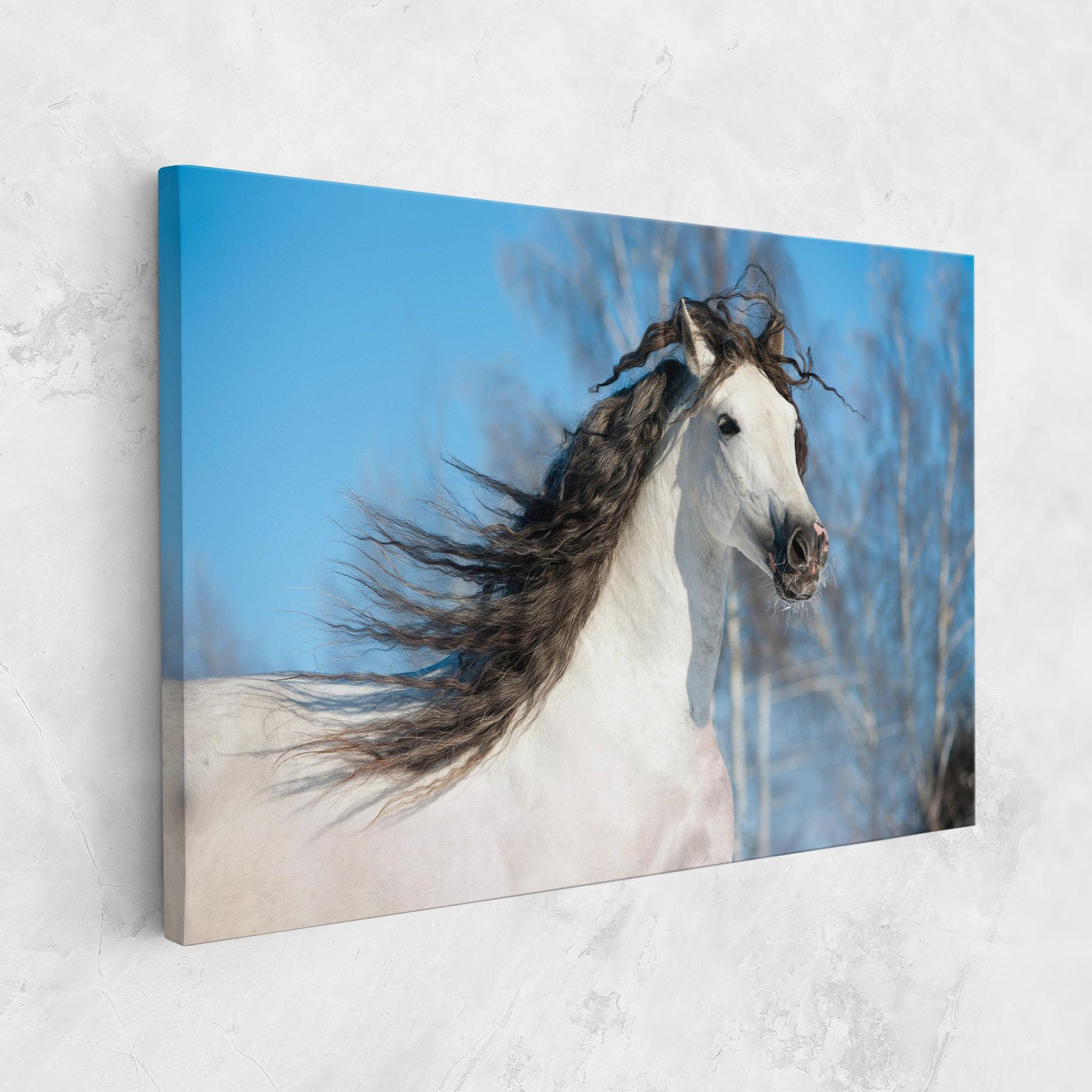 Tablou Canvas Wild Black Hair Horse mockup 1