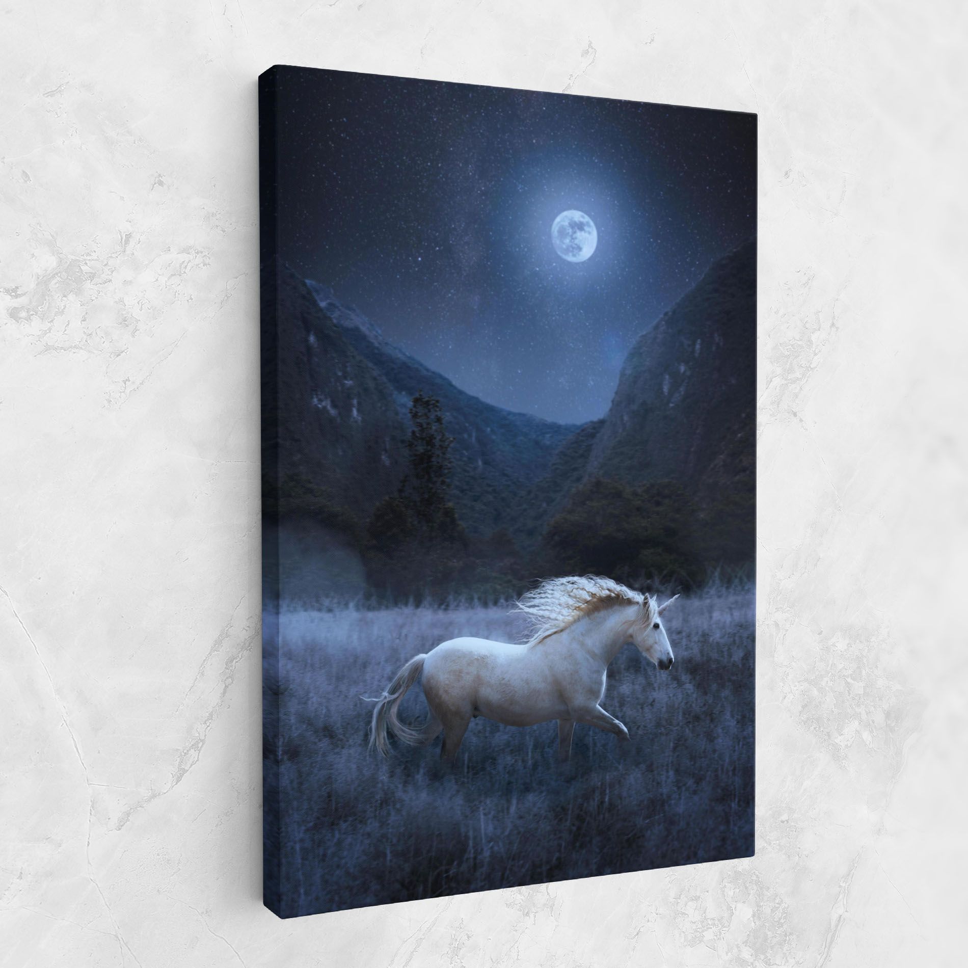 Blue Moon Unicorn mockup 1
