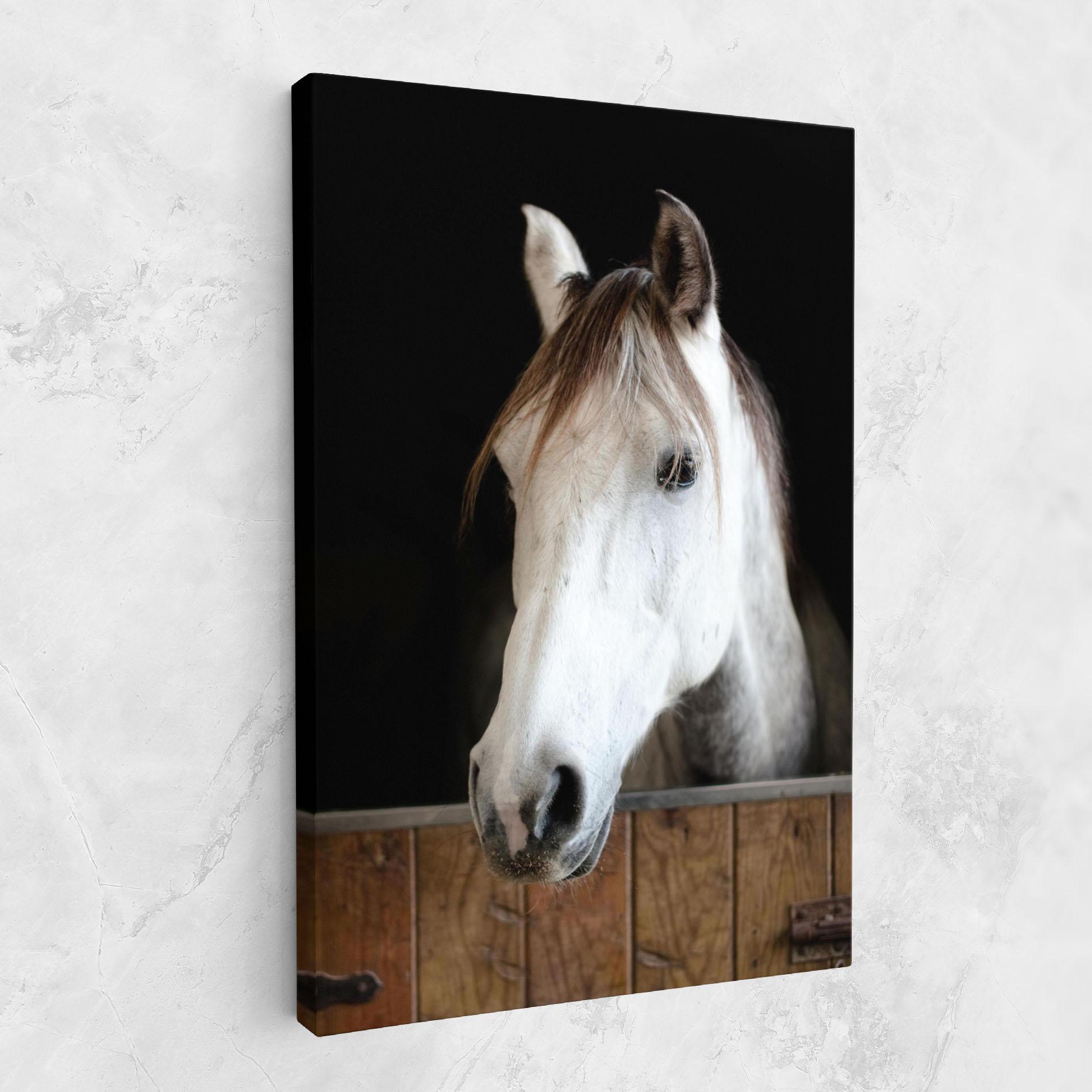 Tablou Canvas Grey Horse Head mockup 1