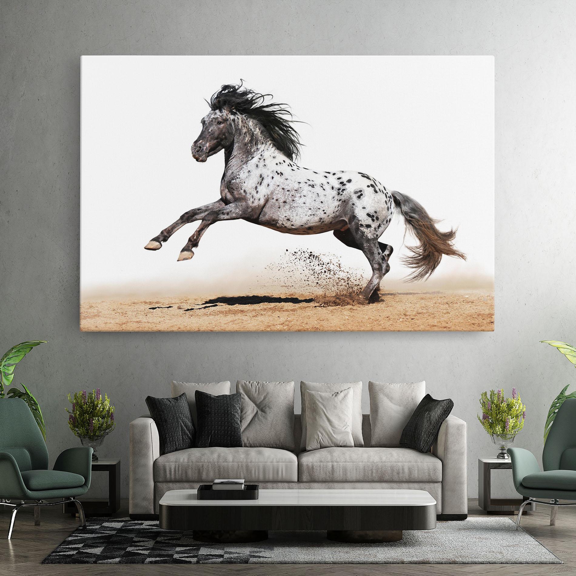 Tablou Canvas Appaloosa Horse Running mockup 7