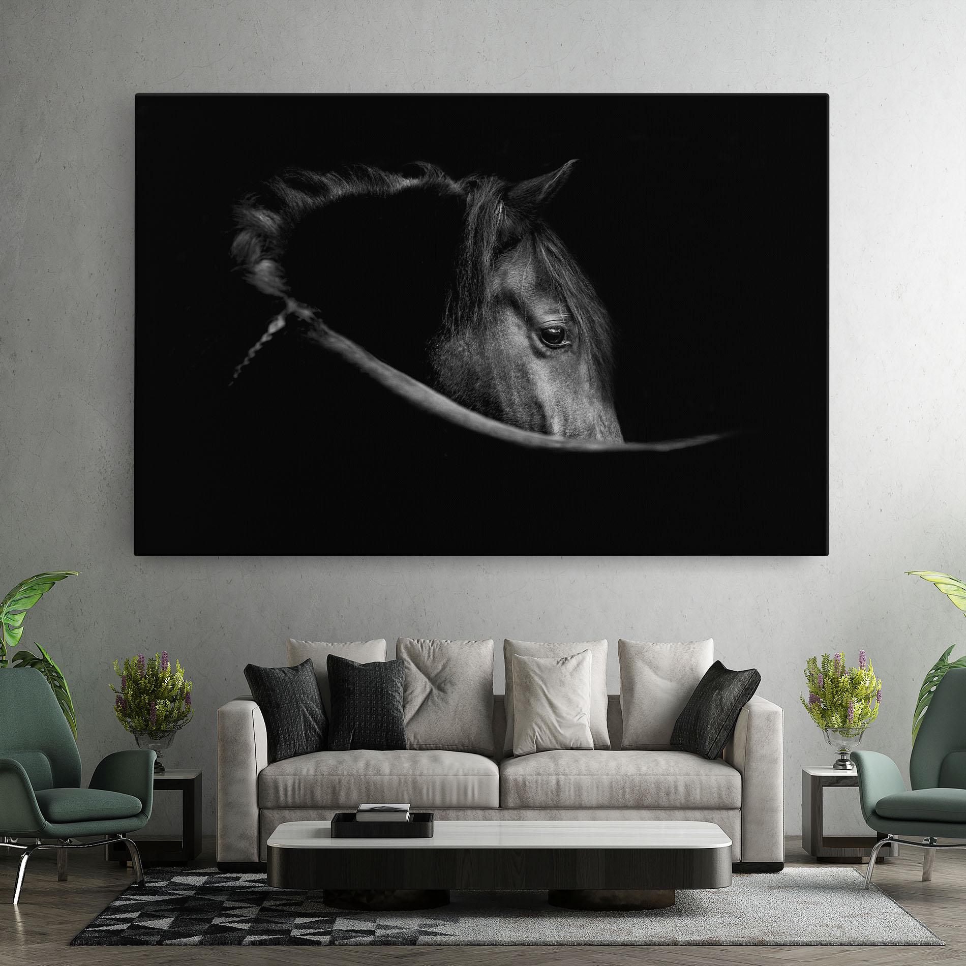 Tablou Canvas Black Horse Looking mockup 7