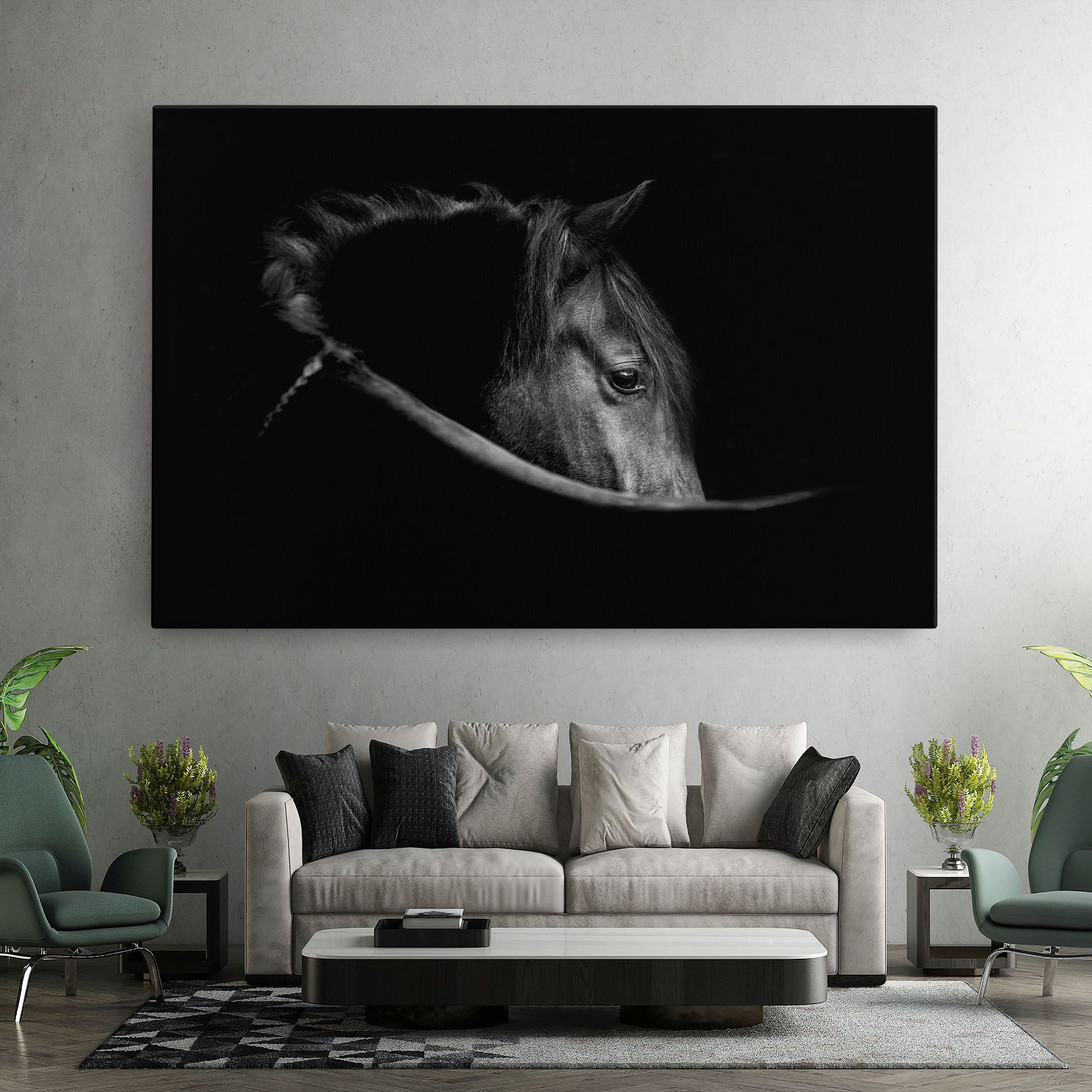 Black Horse Looking mockup 7