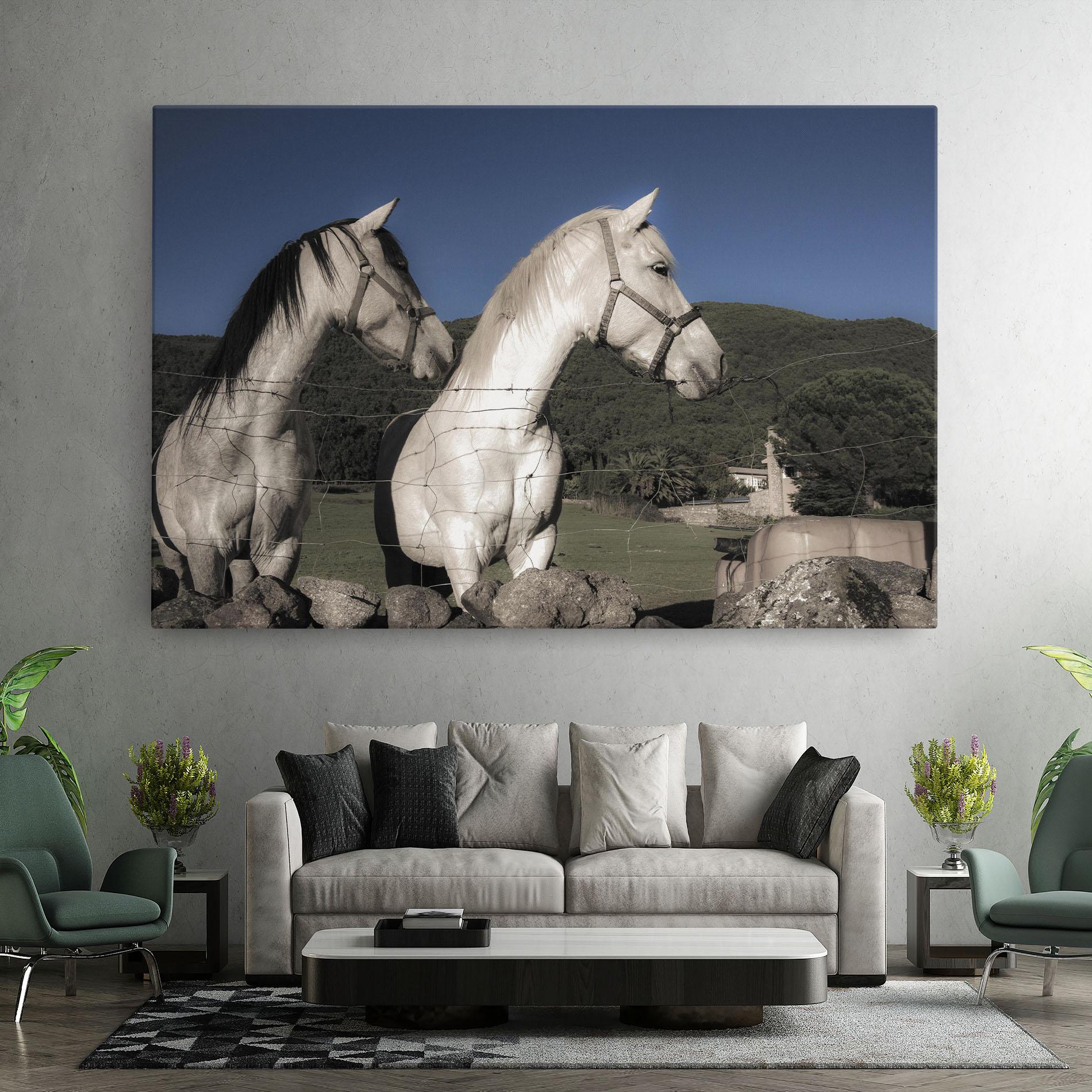 Tablou Canvas White Grey Horse mockup 7
